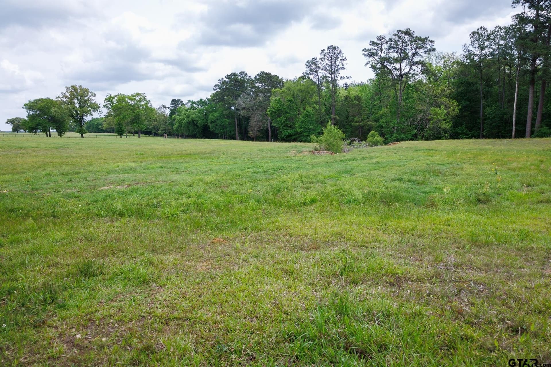 11.5 acres in Anderson County - photo 6