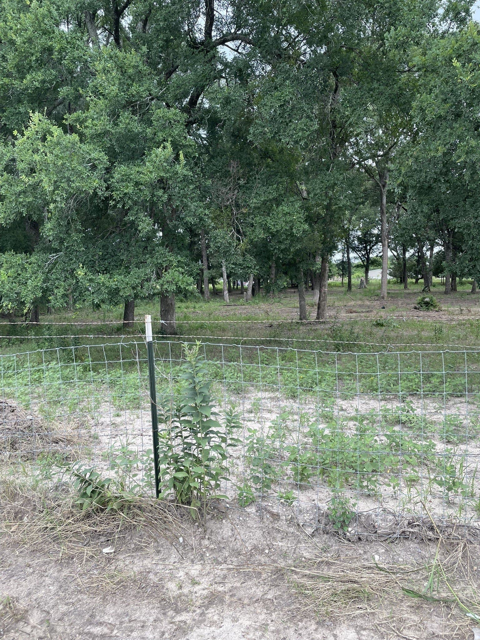2 acres in Hunt County featured view