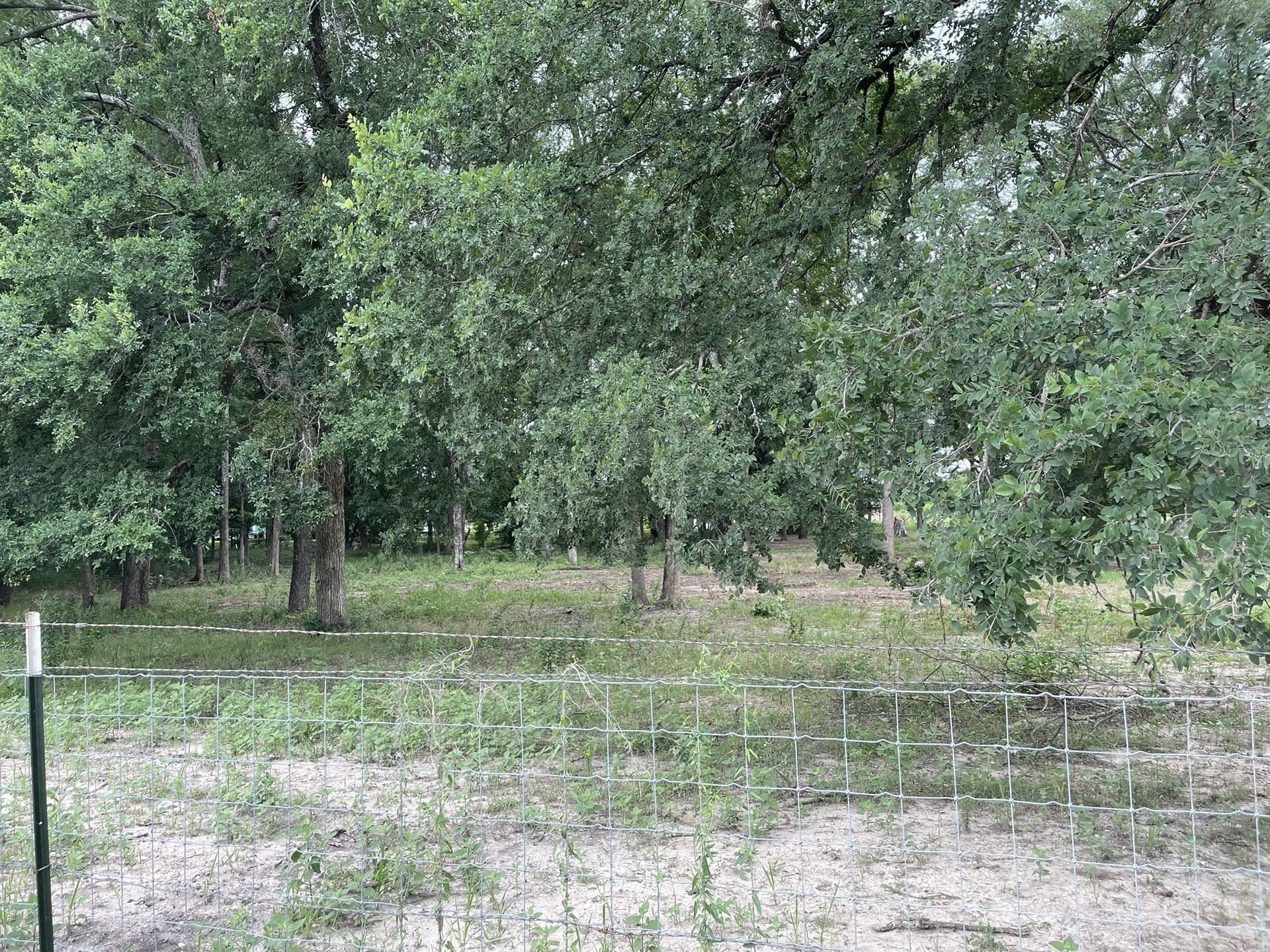 2 acres in Hunt County gallery image 3