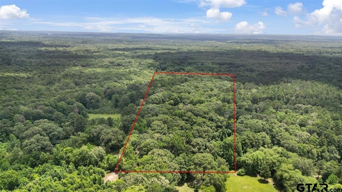 20 acres in Wood County gallery image 4