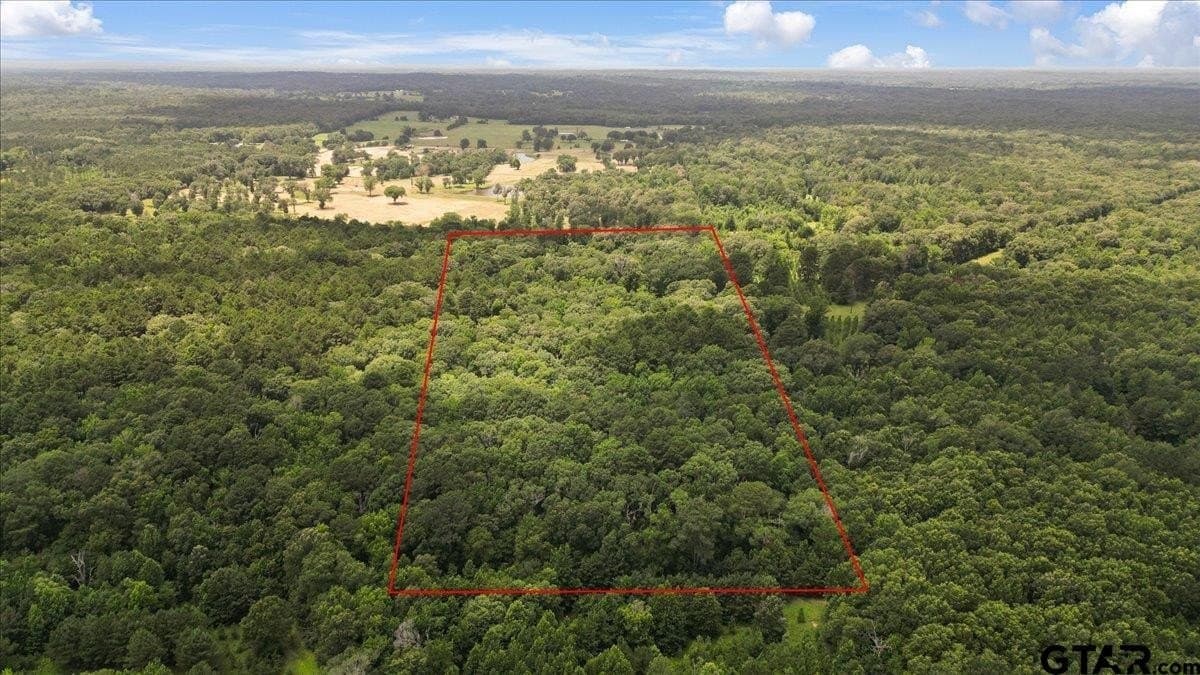 20 acres in Wood County