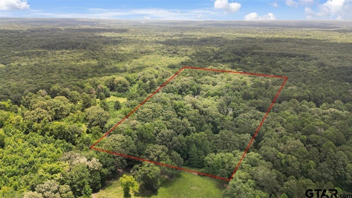 20 acres in Wood County featured view