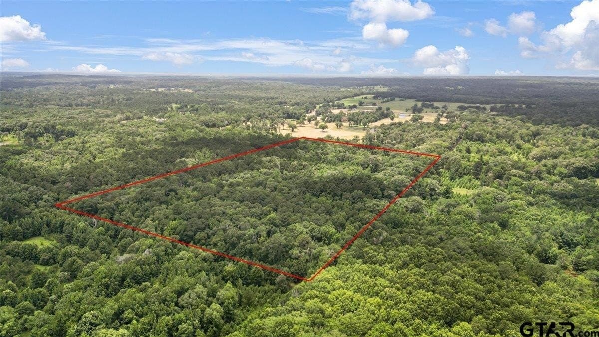 20 acres in Wood County gallery image 3