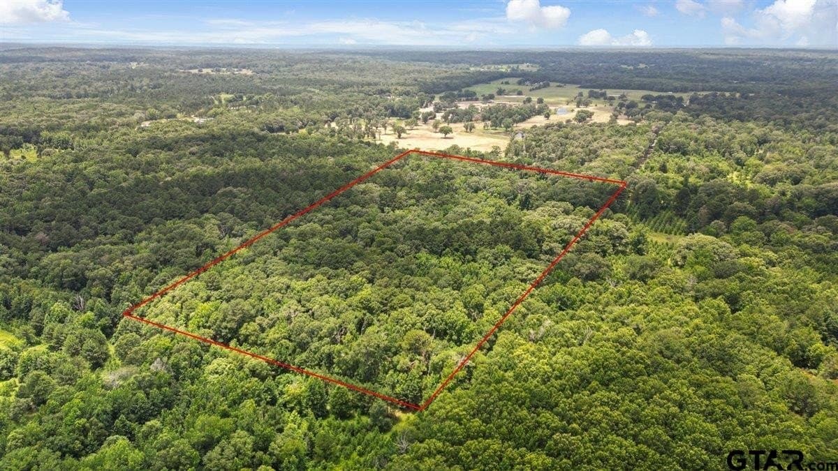 20 acres in Wood County gallery image 2