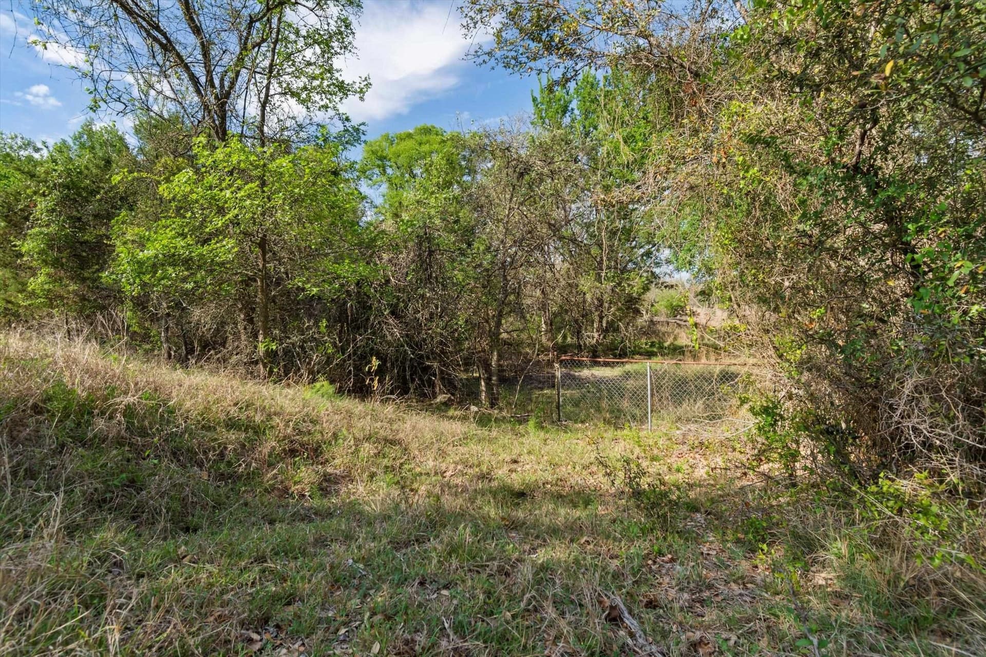 64.04 acres in Bell County - photo 9