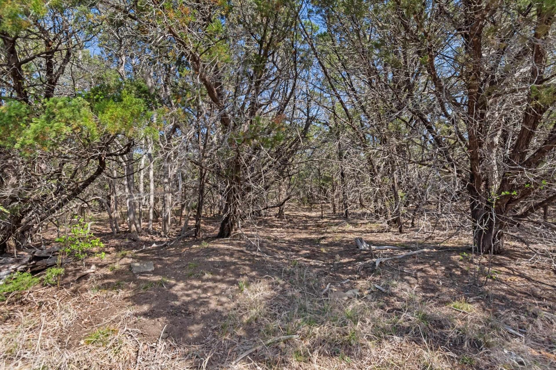 64.04 acres in Bell County - photo 7