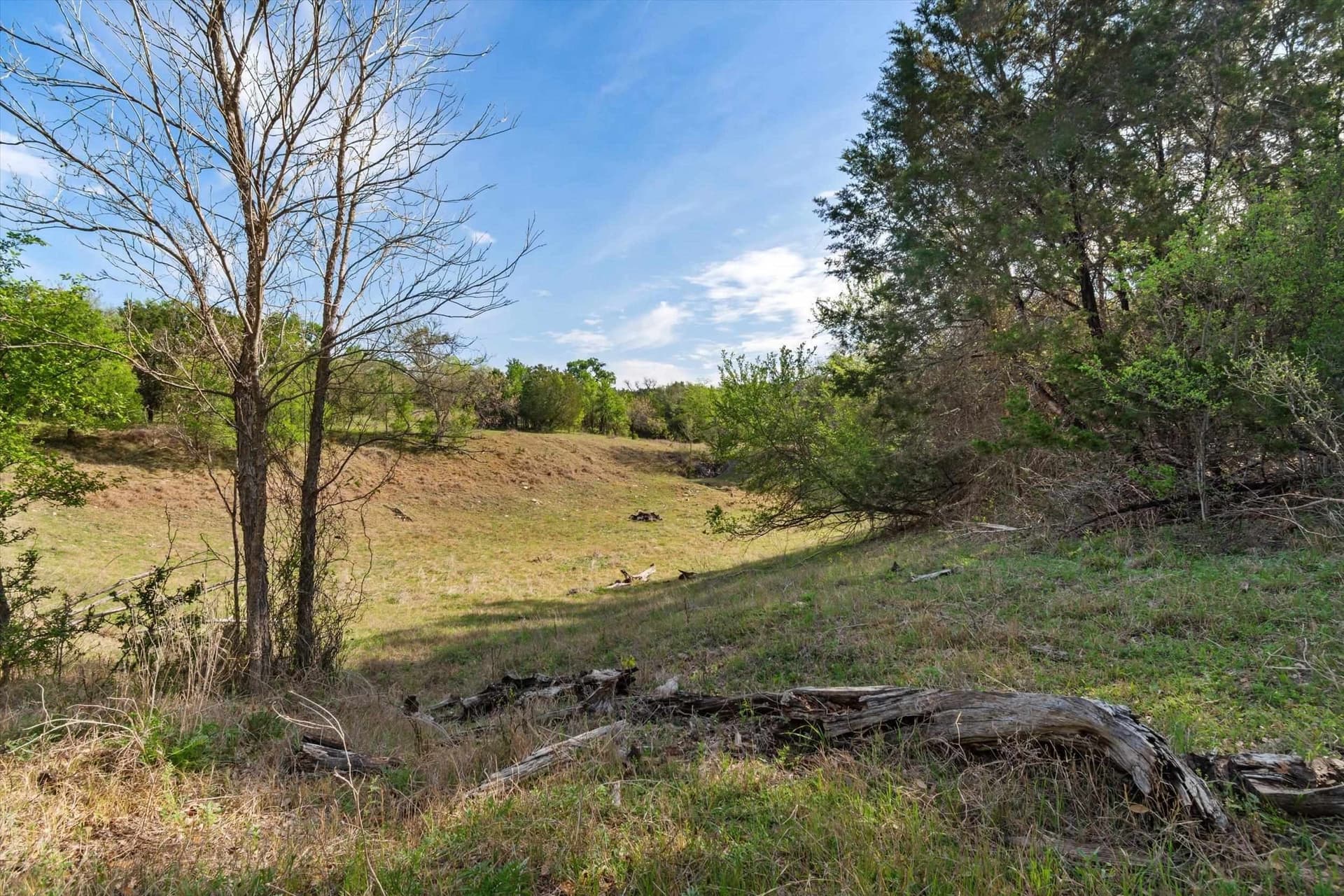 64.04 acres in Bell County featured view