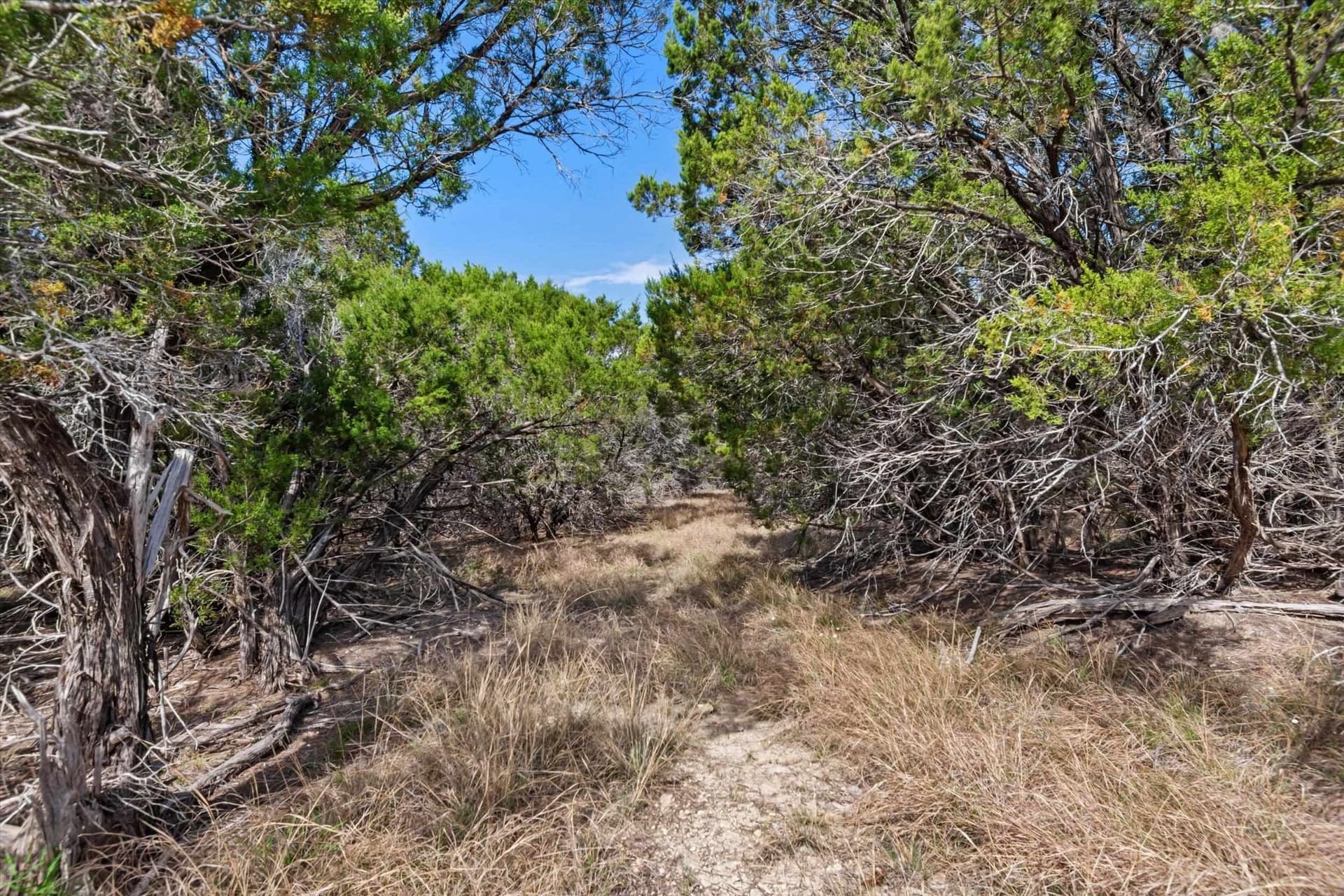 64.04 acres in Bell County - photo 8