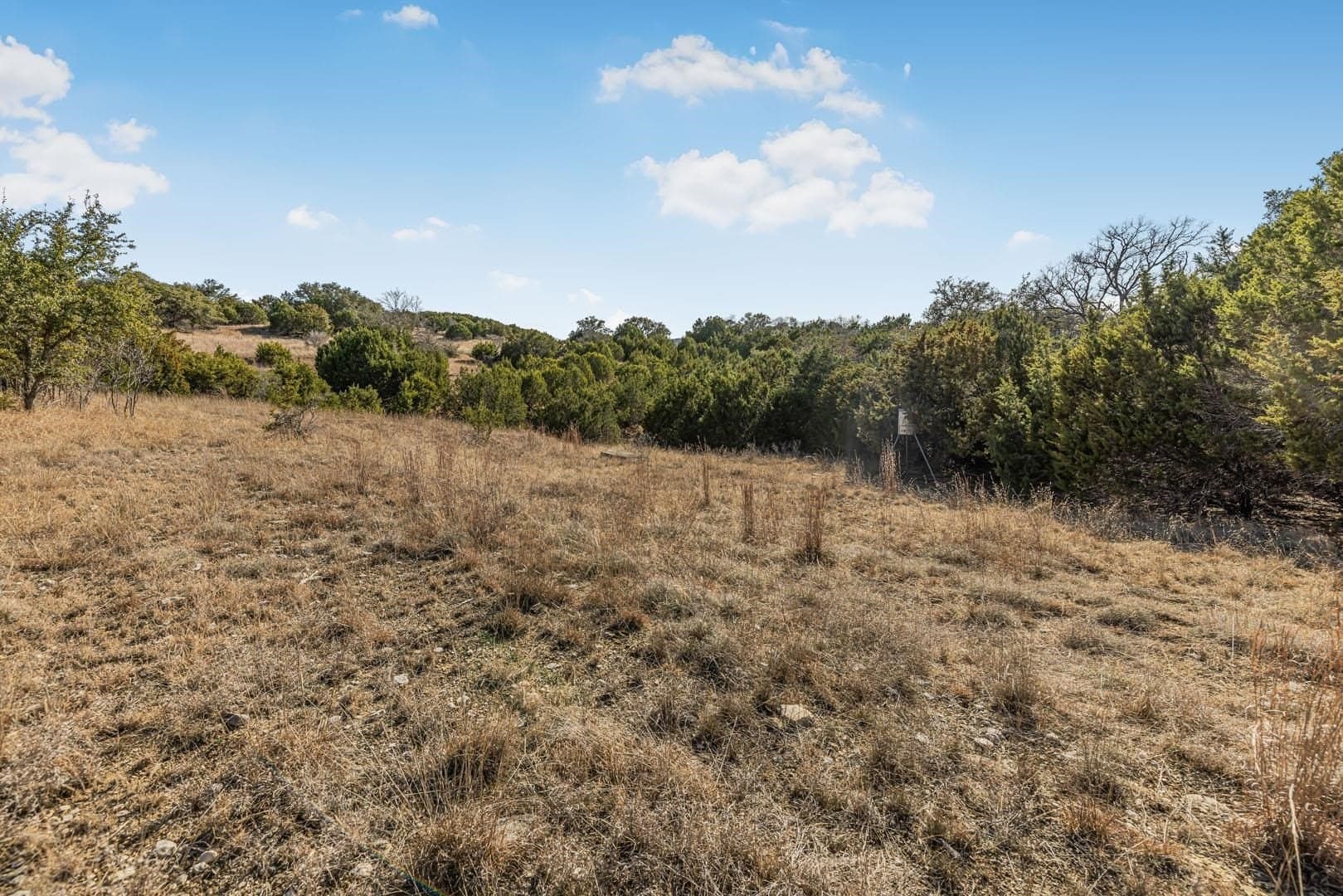64.04 acres in Bell County featured view