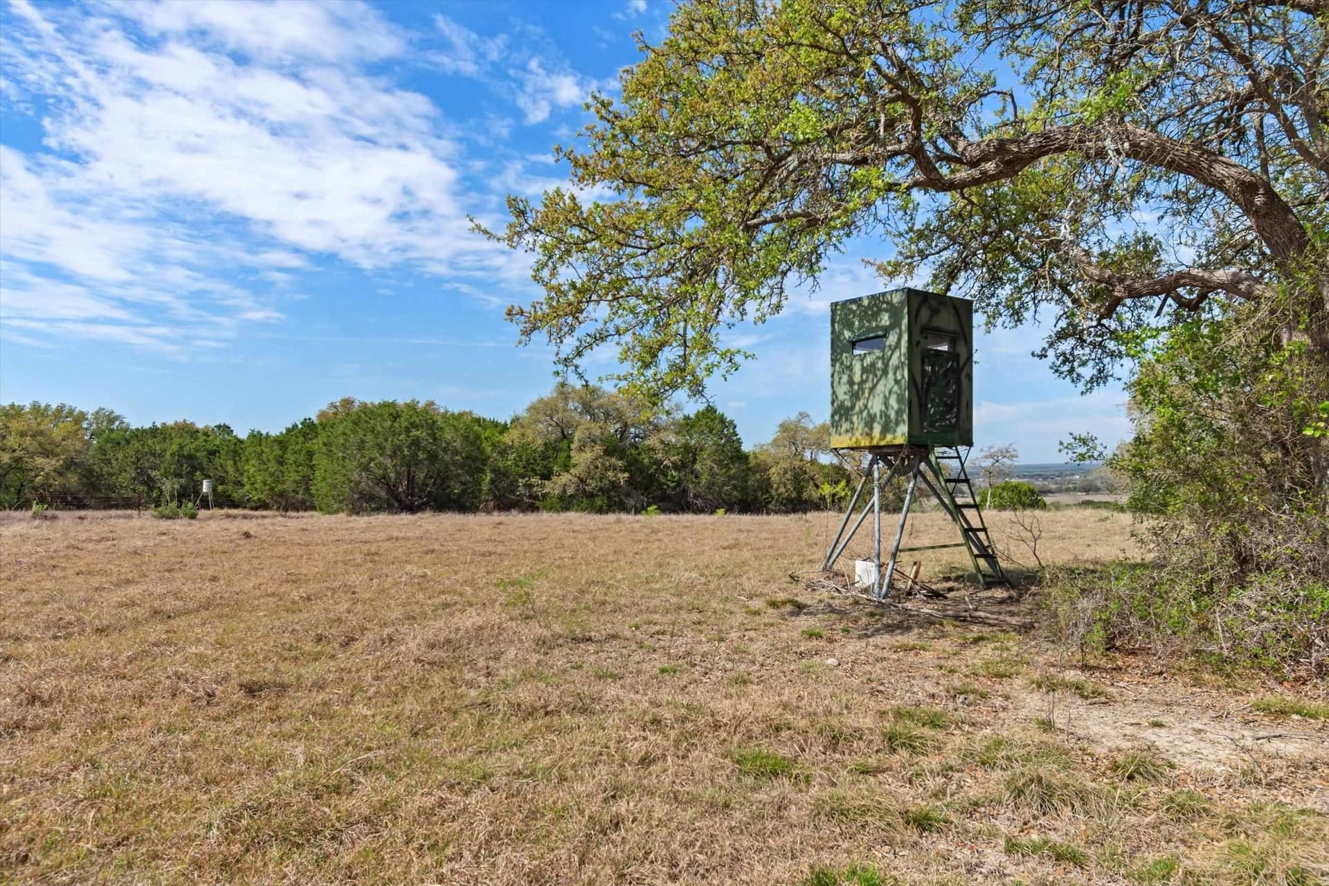 64.04 acres in Bell County - photo 16