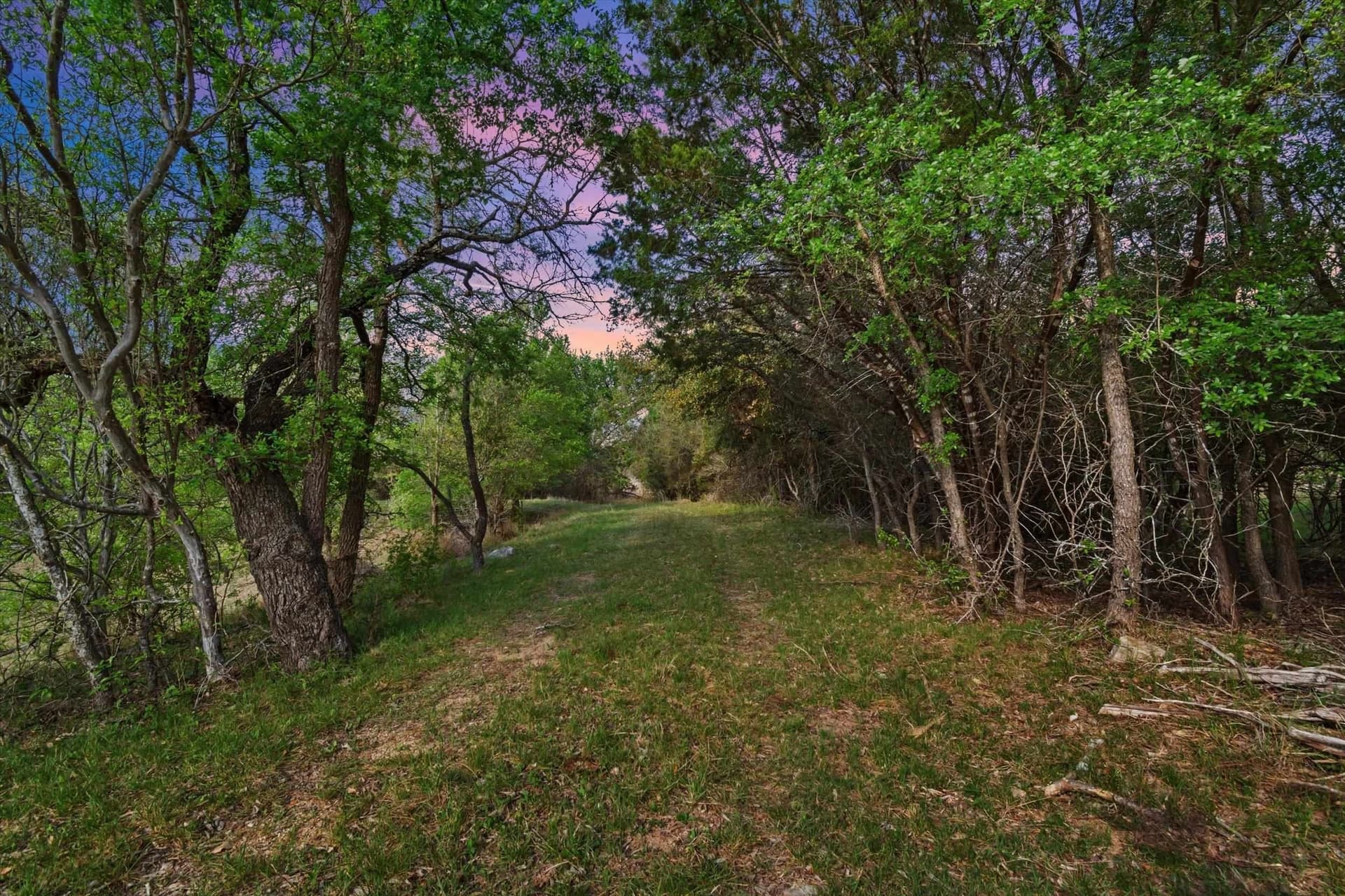 64.04 acres in Bell County gallery image 2