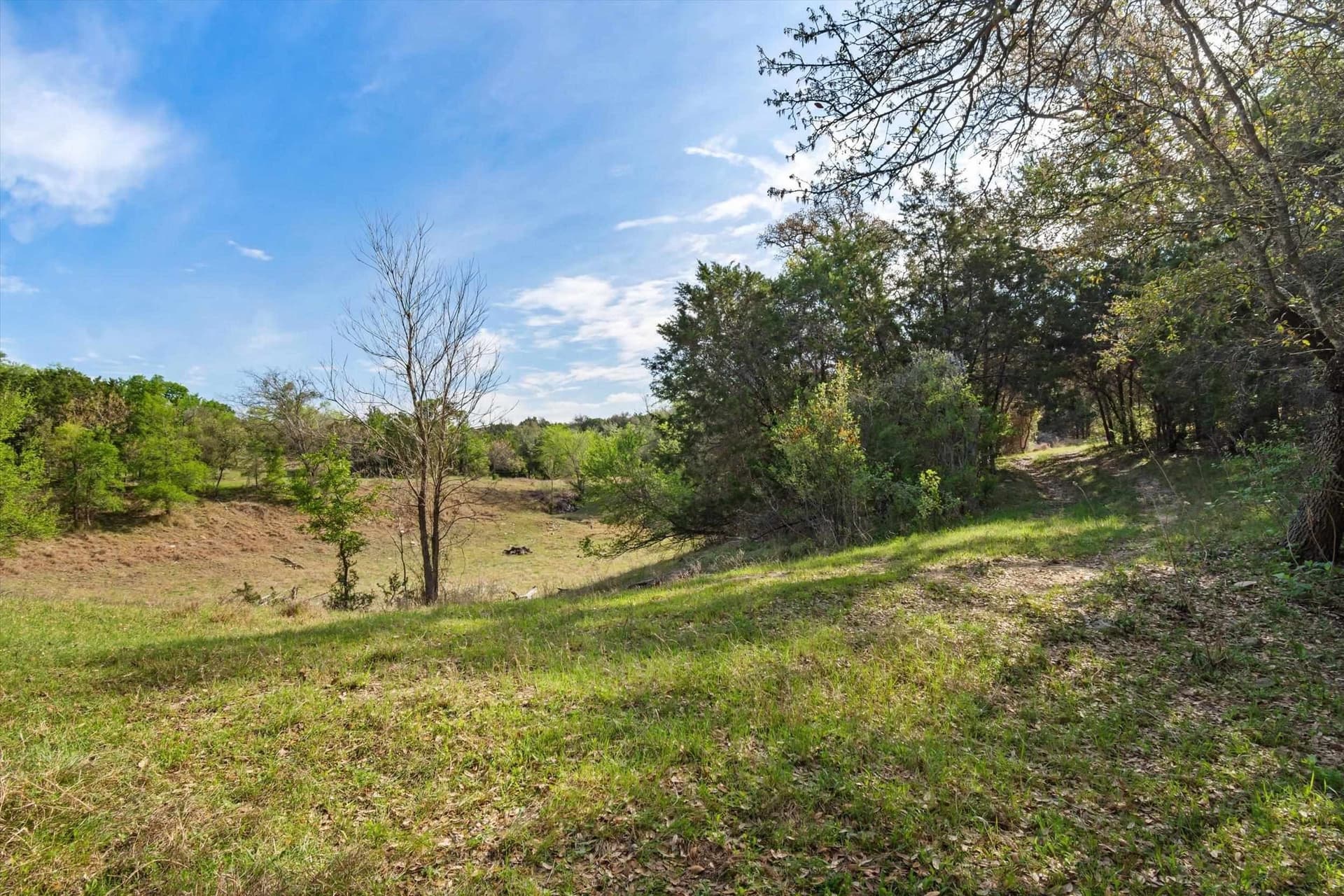 64.04 acres in Bell County gallery image 3