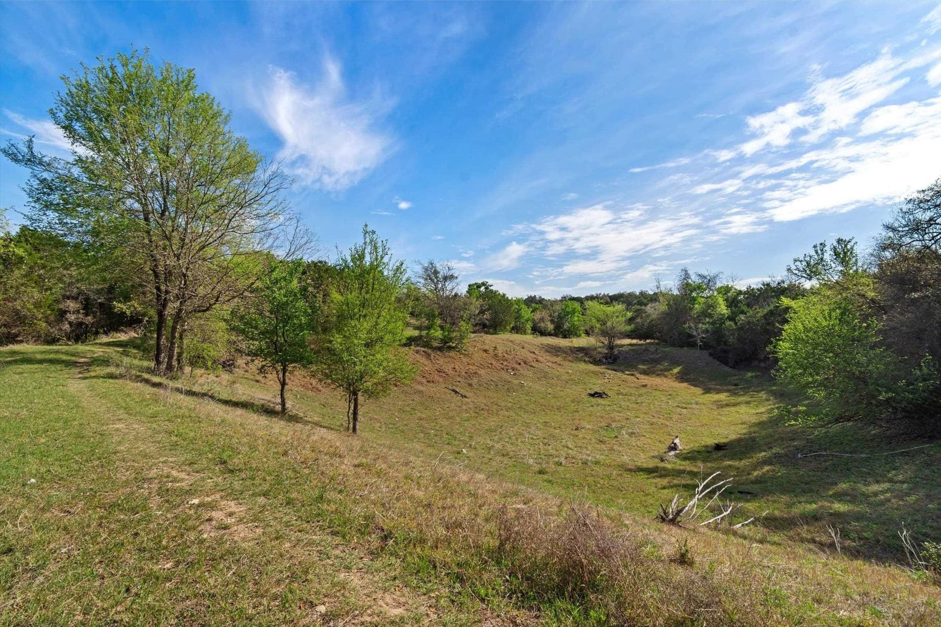 64.04 acres in Bell County gallery image 4