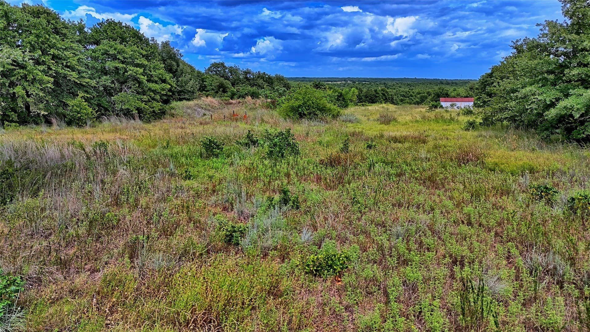 15 acres in Montague County - photo 17