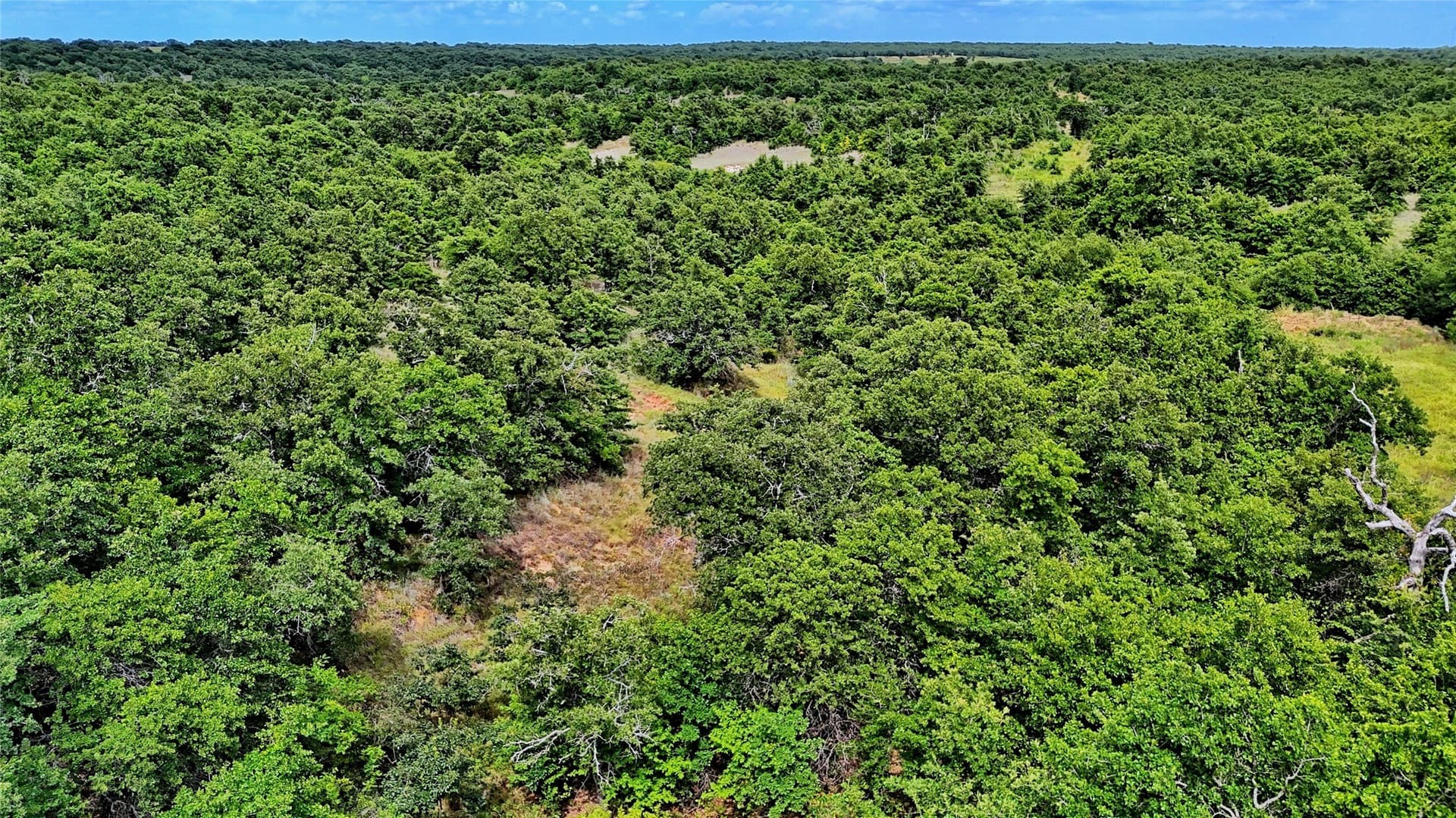 15 acres in Montague County - photo 21