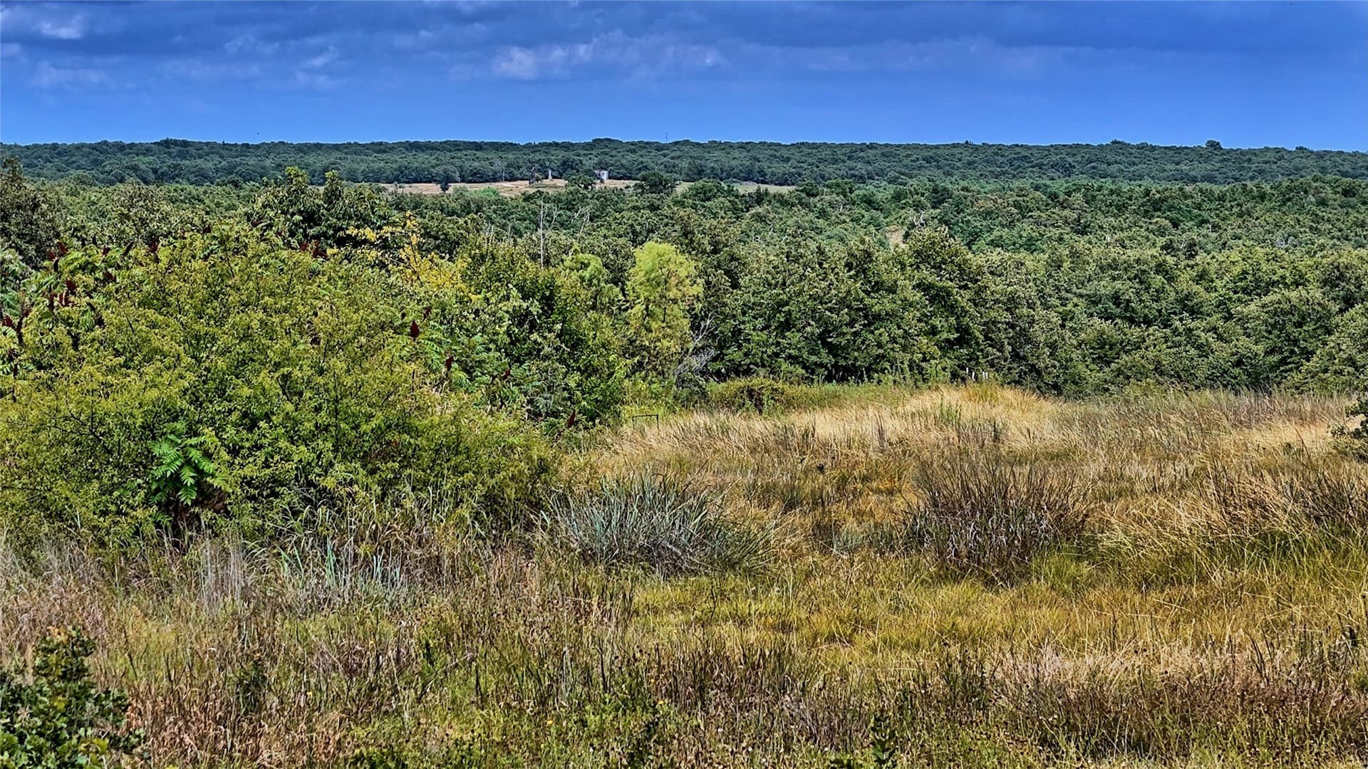 15 acres in Montague County - photo 18