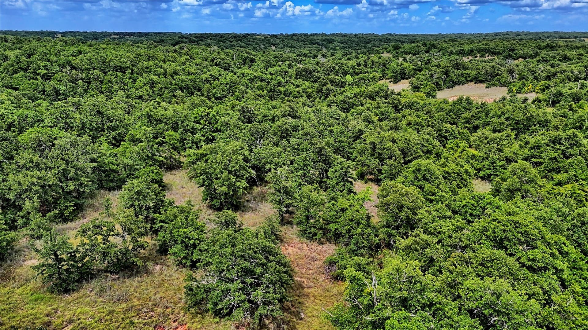 15 acres in Montague County - photo 30
