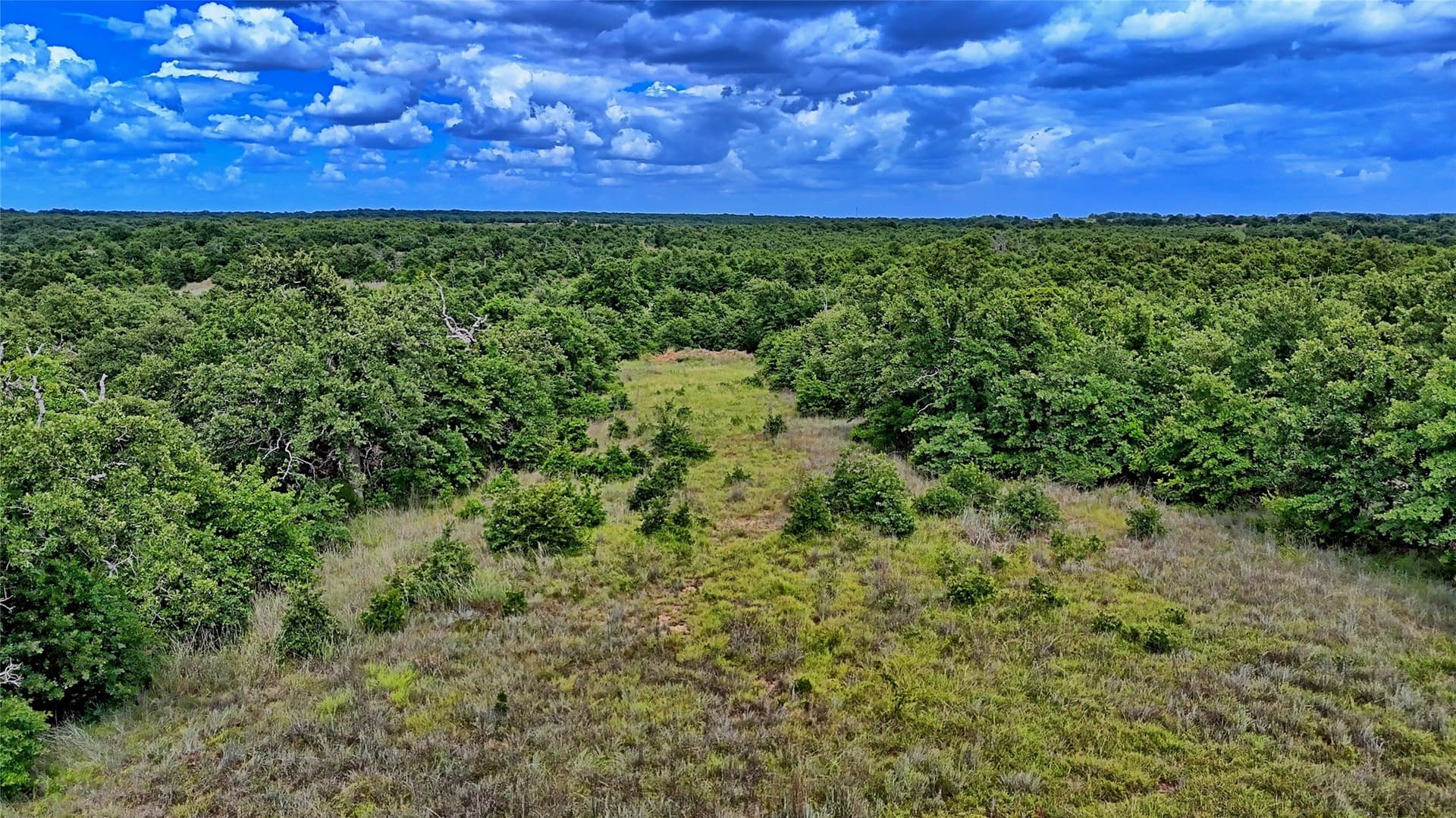15 acres in Montague County - photo 16