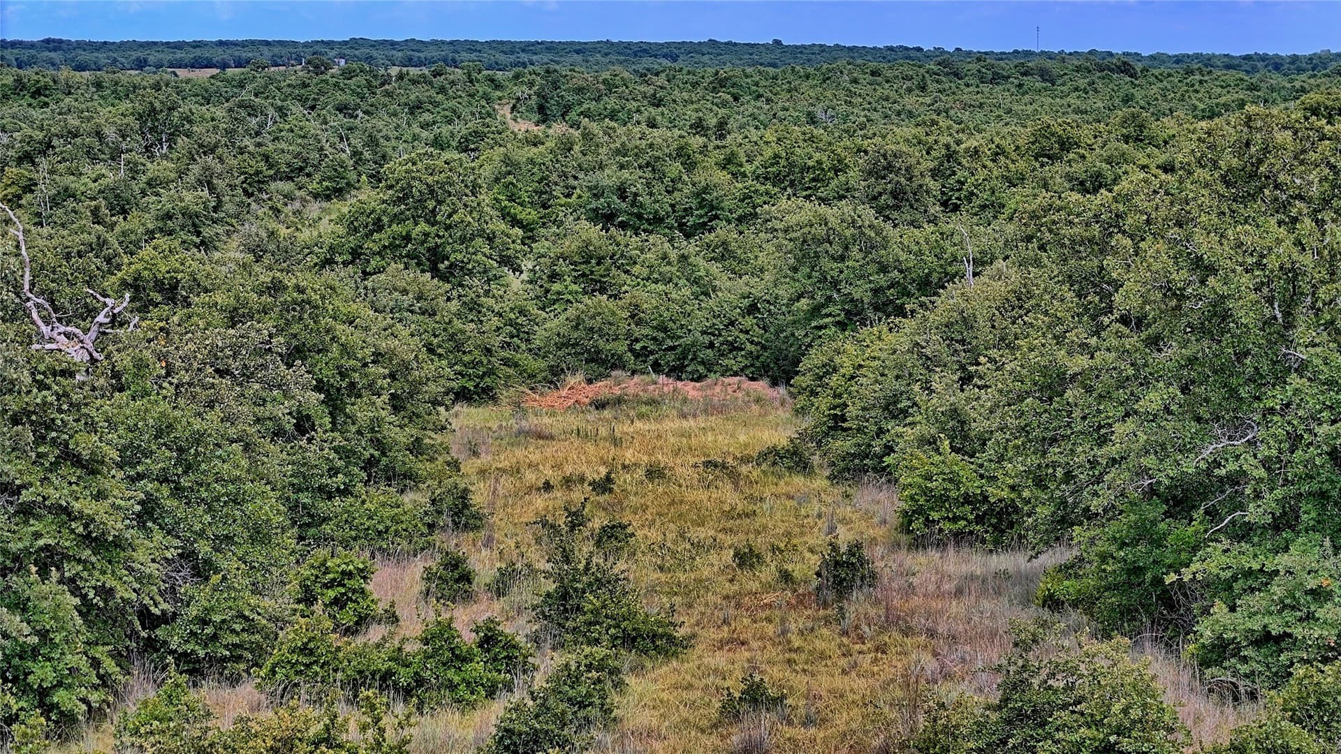 15 acres in Montague County - photo 22