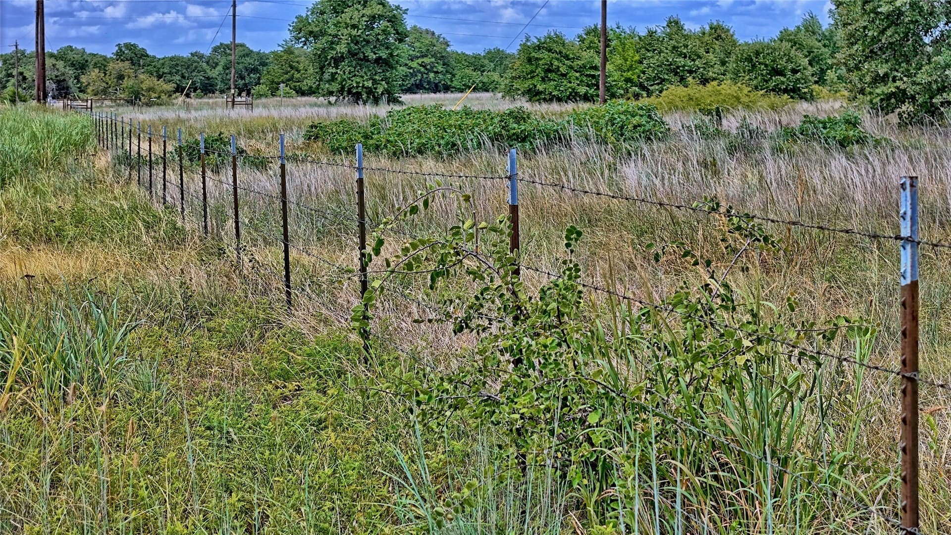 15 acres in Montague County - photo 25