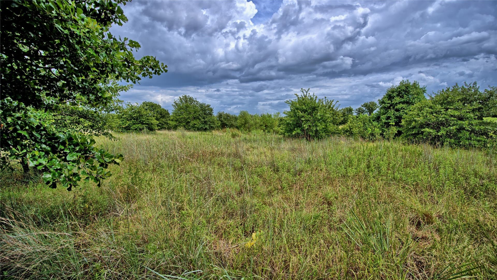 15 acres in Montague County - photo 3
