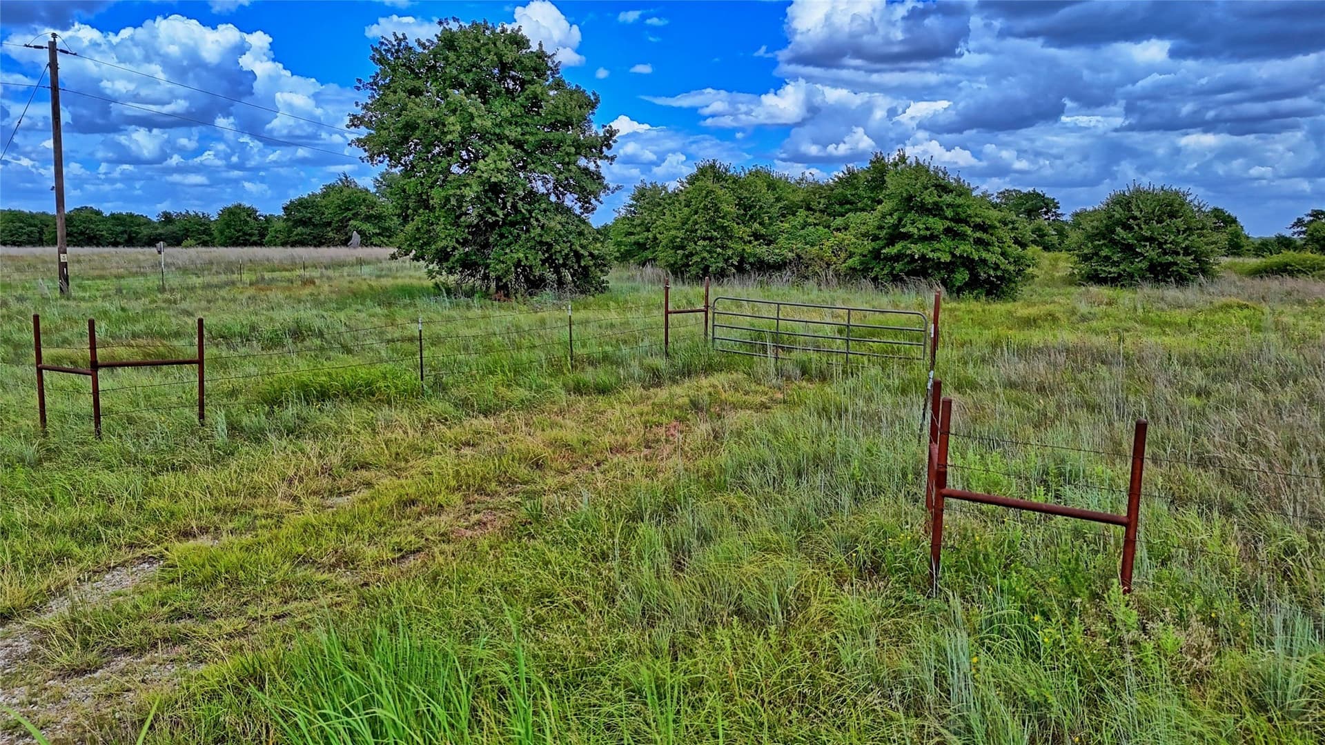 15 acres in Montague County - photo 6