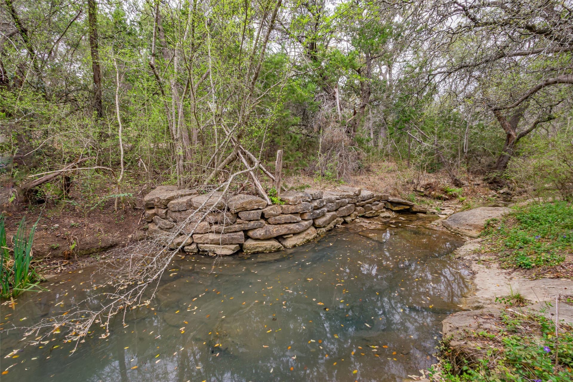 13.48 acres in Comal County - photo 5