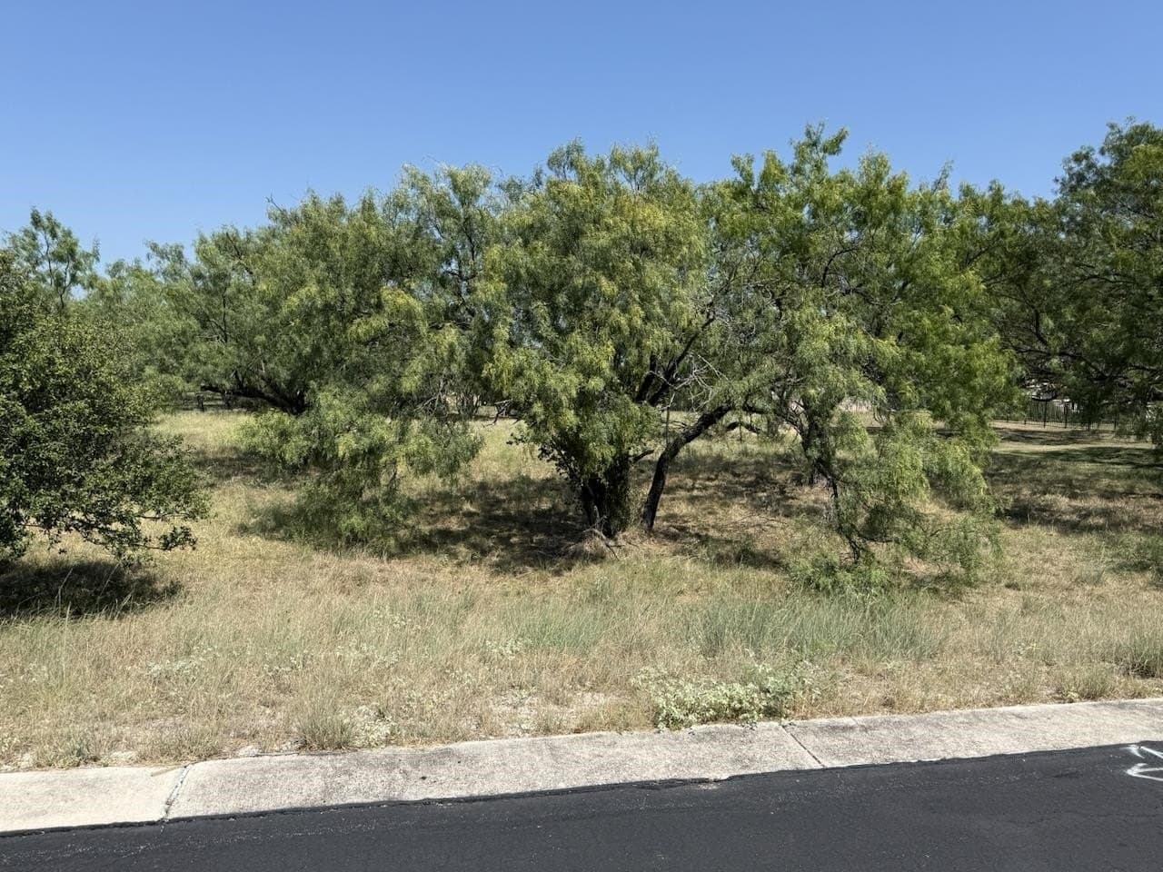 0.24 acres in Llano County - photo 6