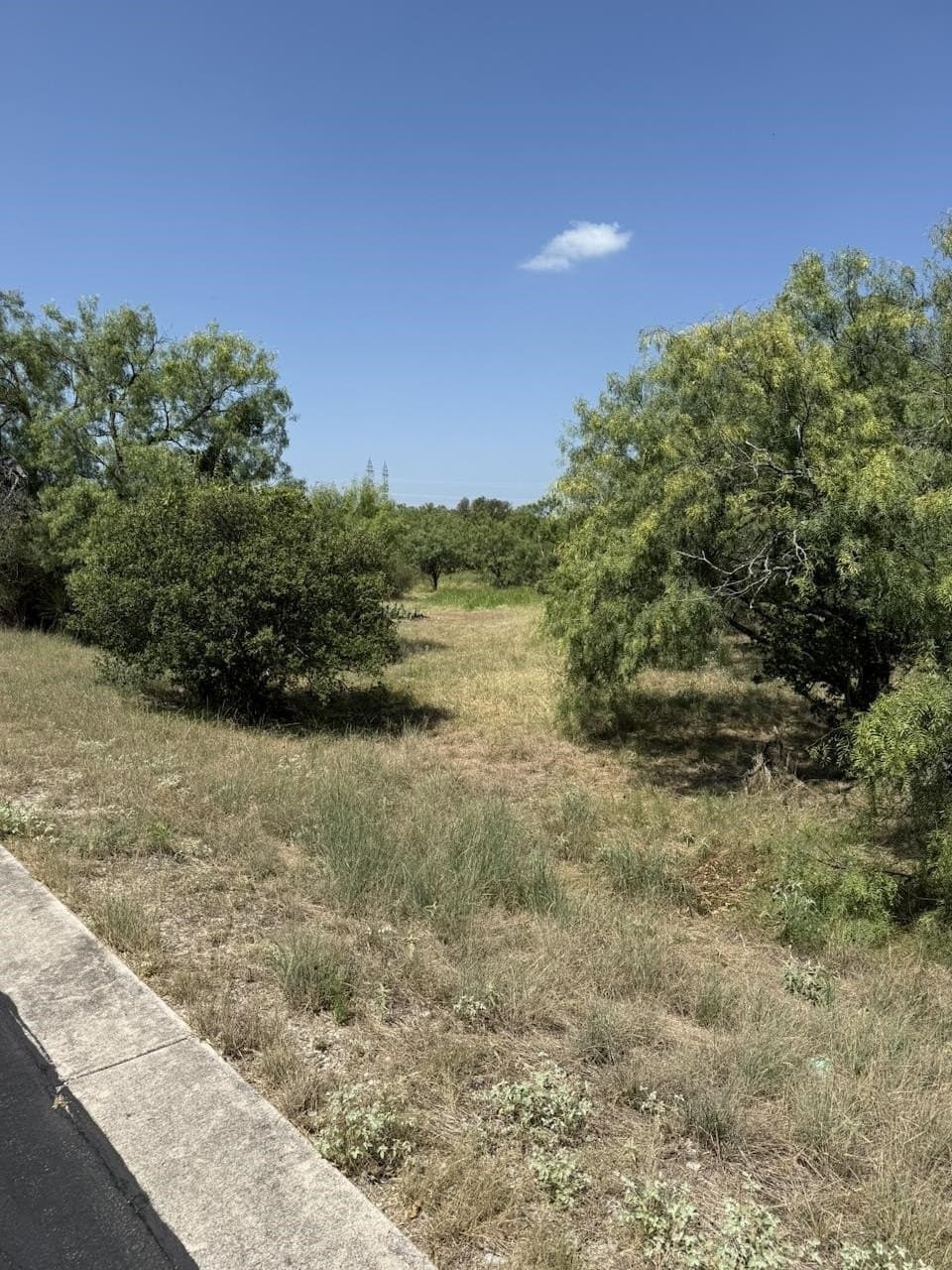 0.24 acres in Llano County gallery image 3