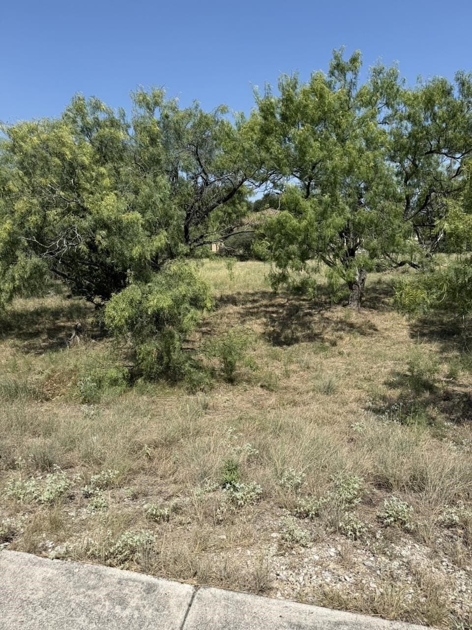 0.24 acres in Llano County gallery image 4