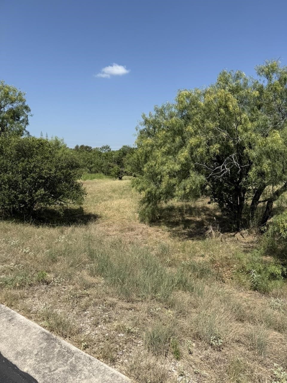 0.24 acres in Llano County featured view