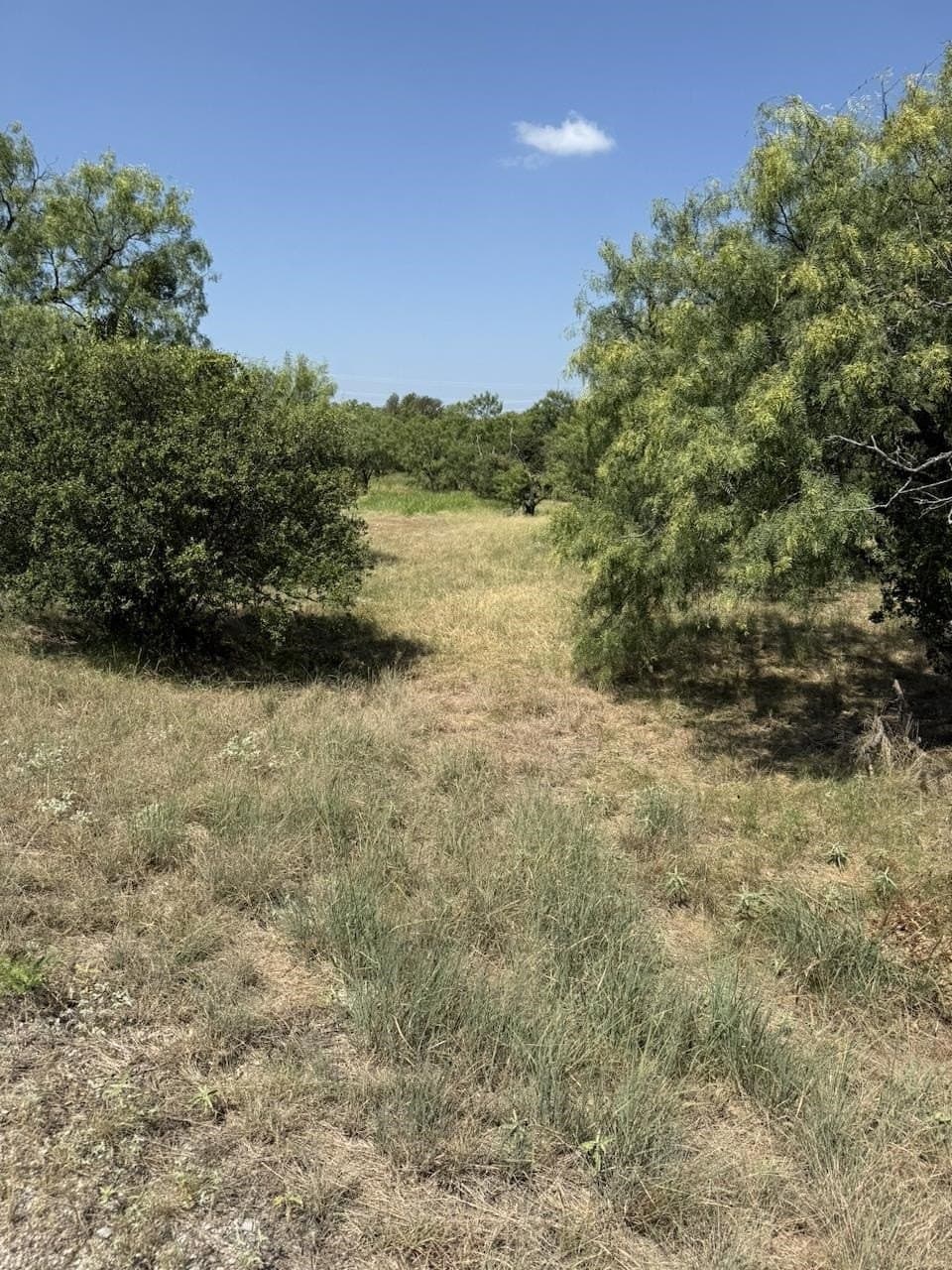 0.24 acres in Llano County gallery image 2