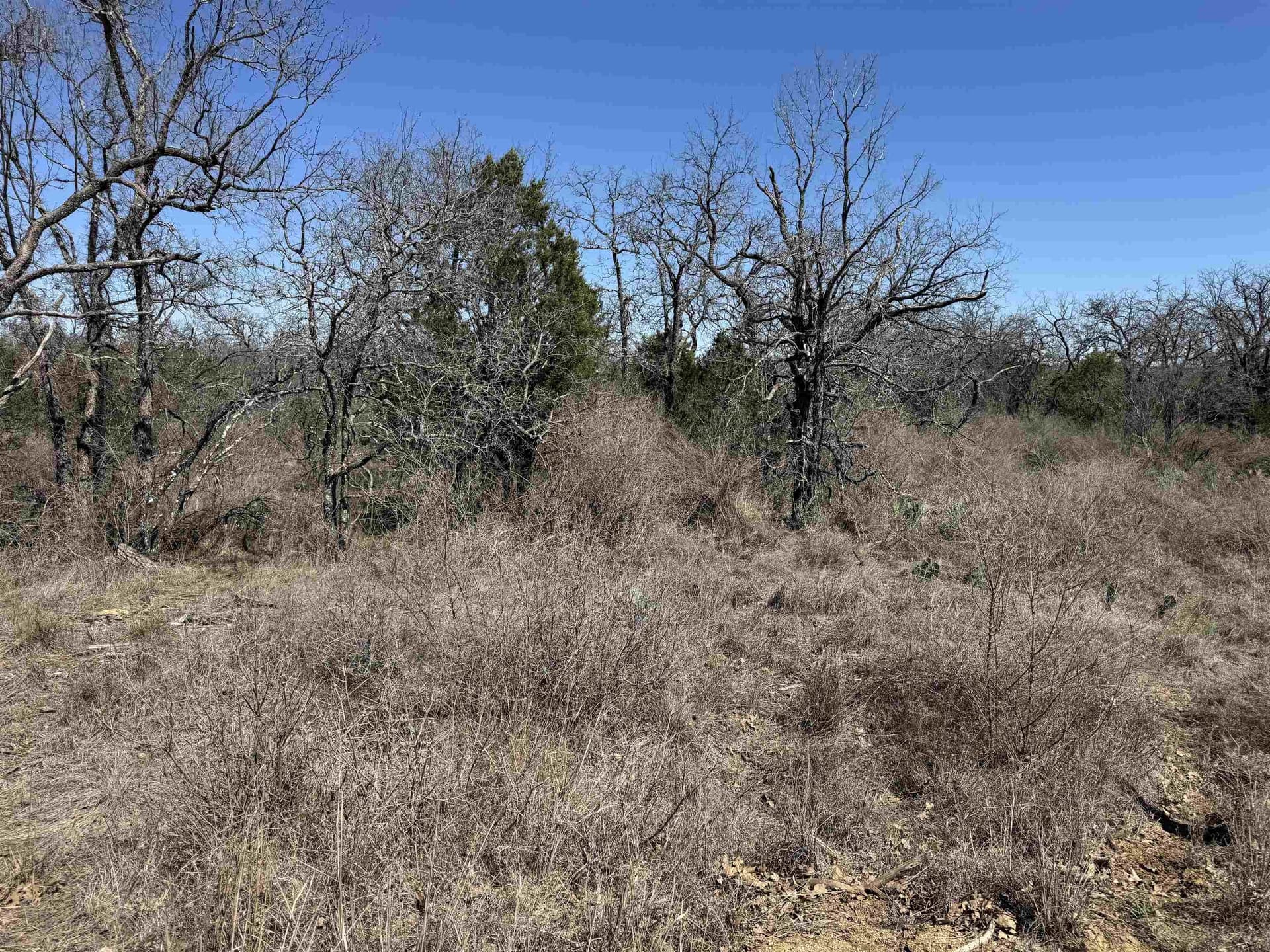0.28 acres in Llano County gallery image 2