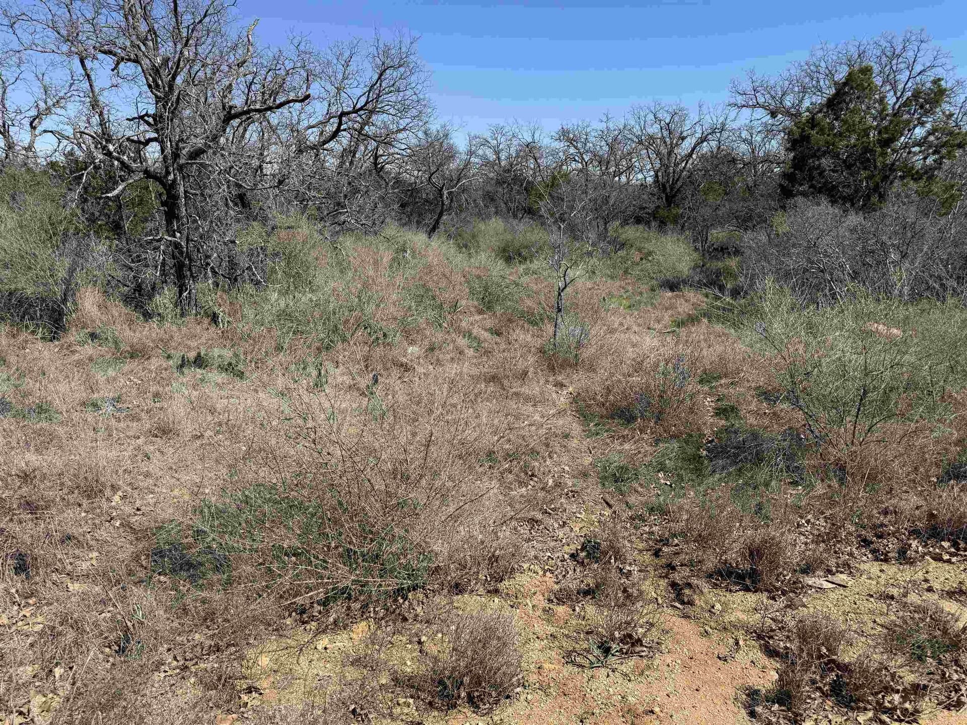 0.28 acres in Llano County gallery image 4