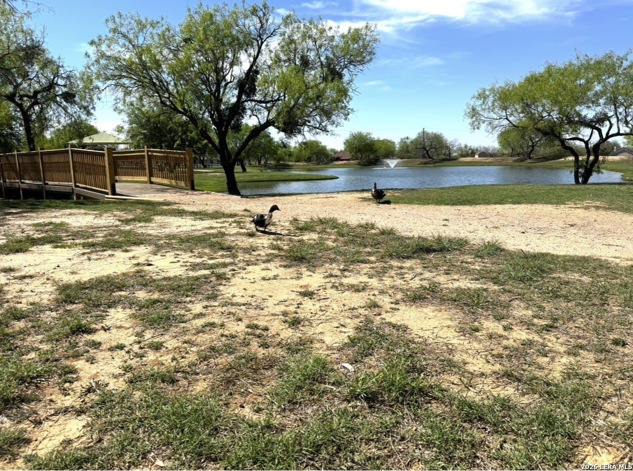1.35 acres in Bexar County - photo 26