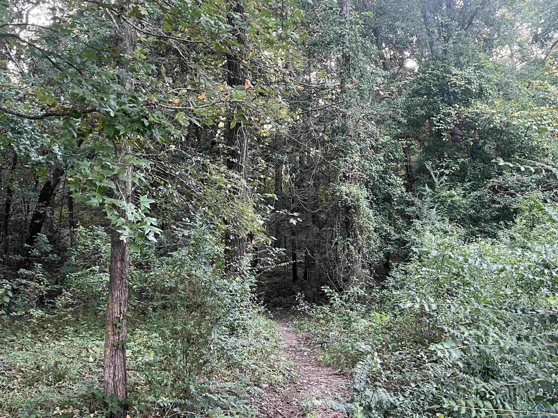 0.38 acres in Upshur County