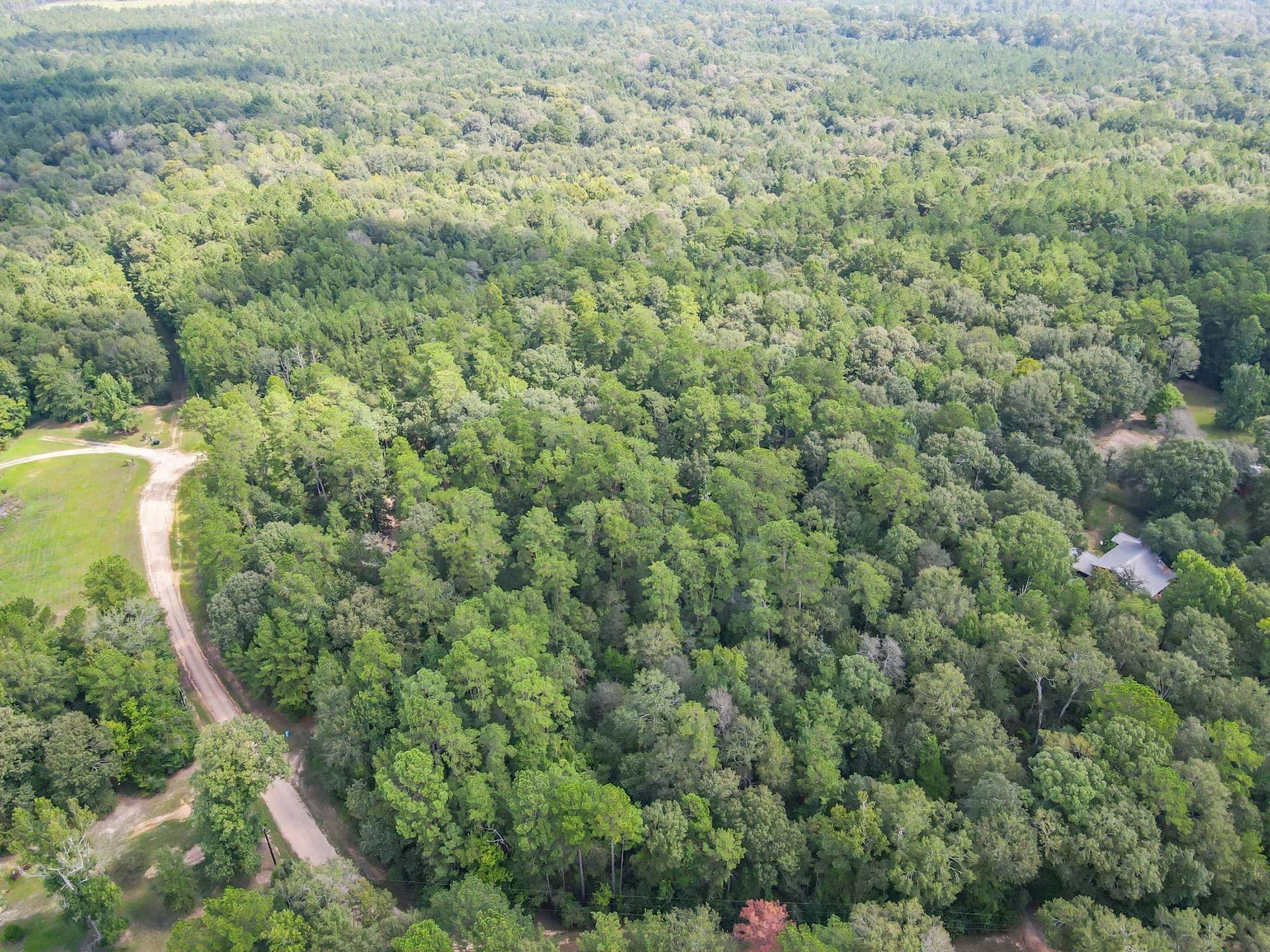 25.17 acres in Texas County - photo 25