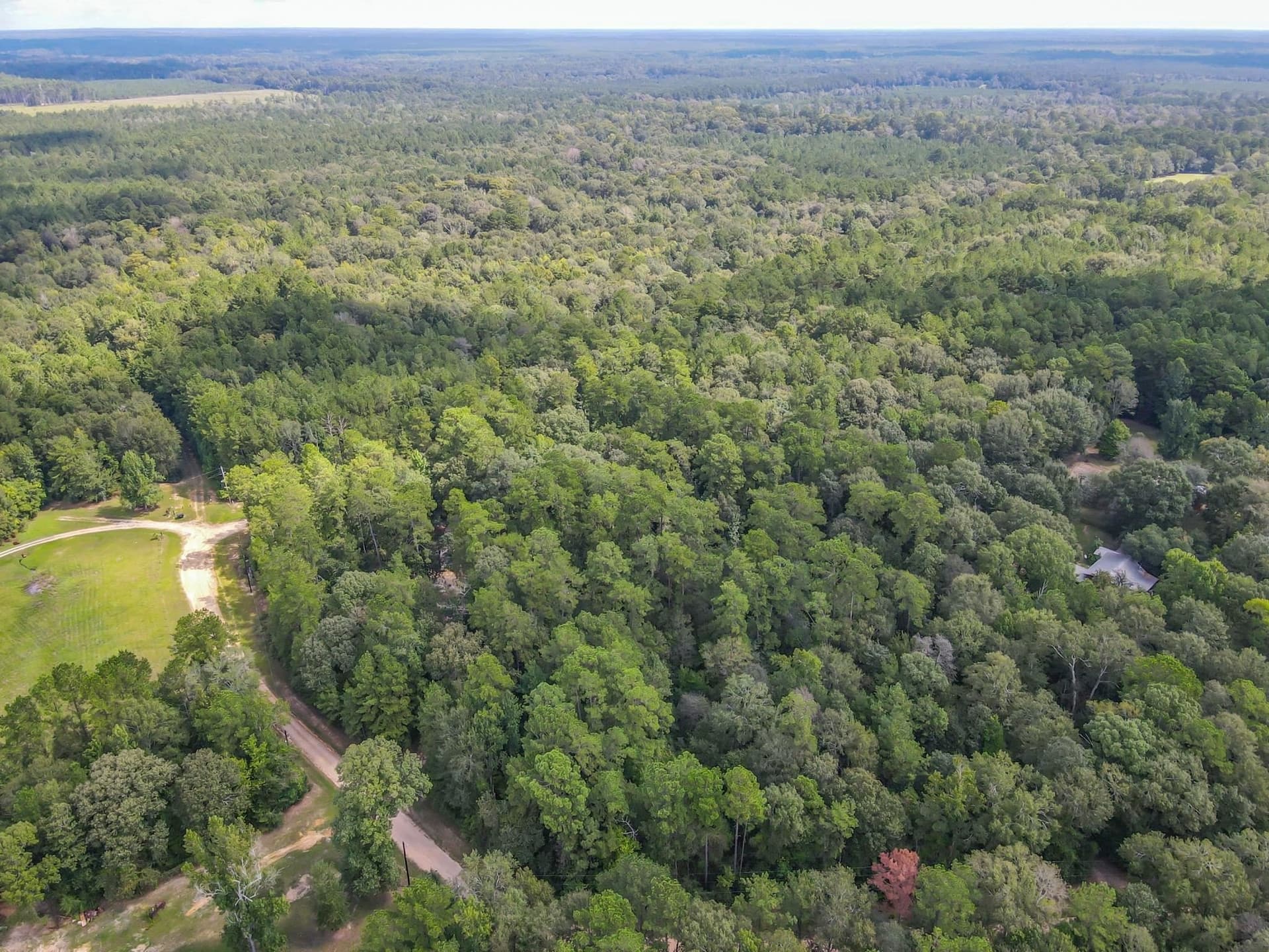 25.17 acres in Texas County - photo 26