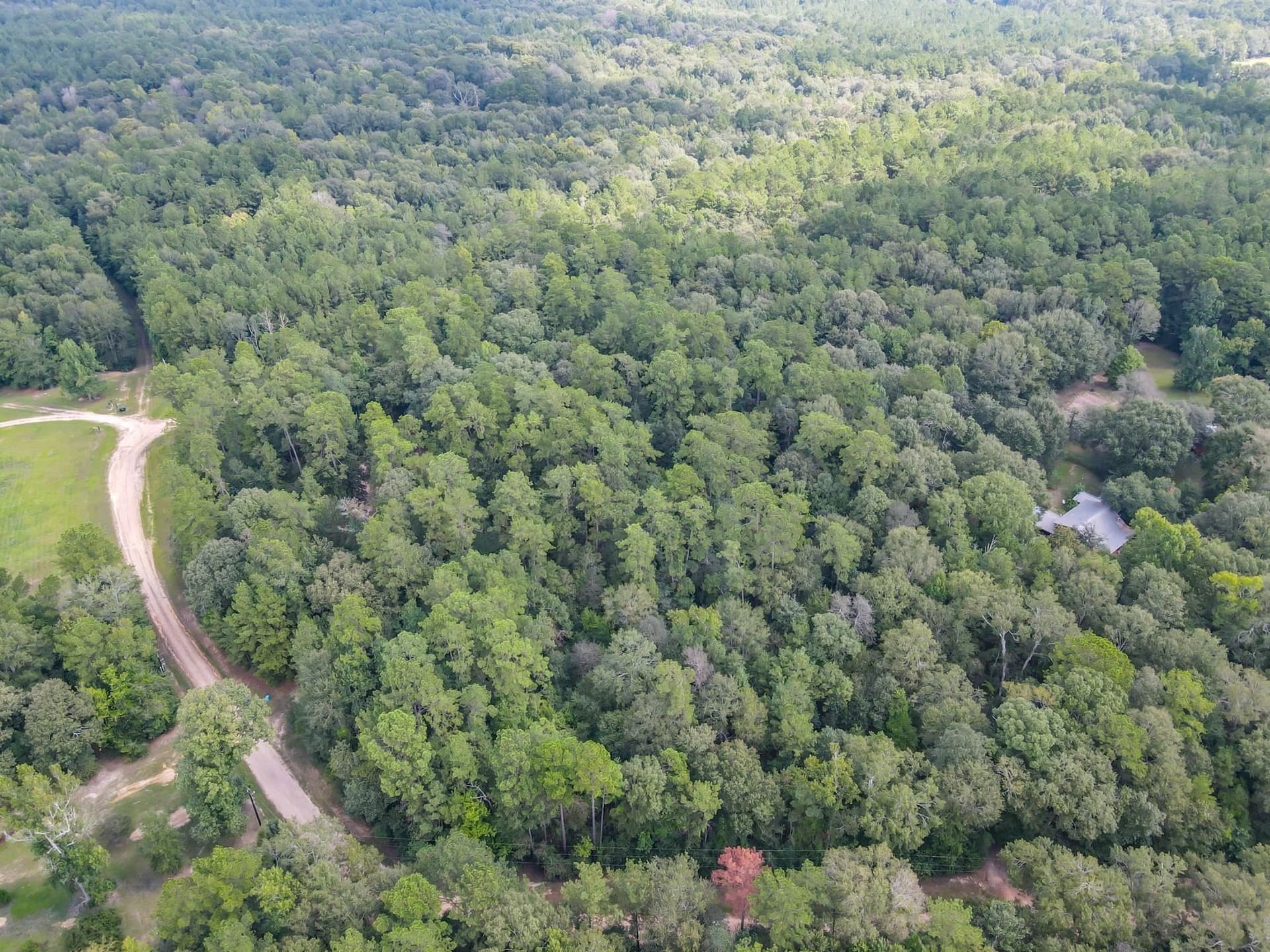 25.17 acres in Texas County - photo 24