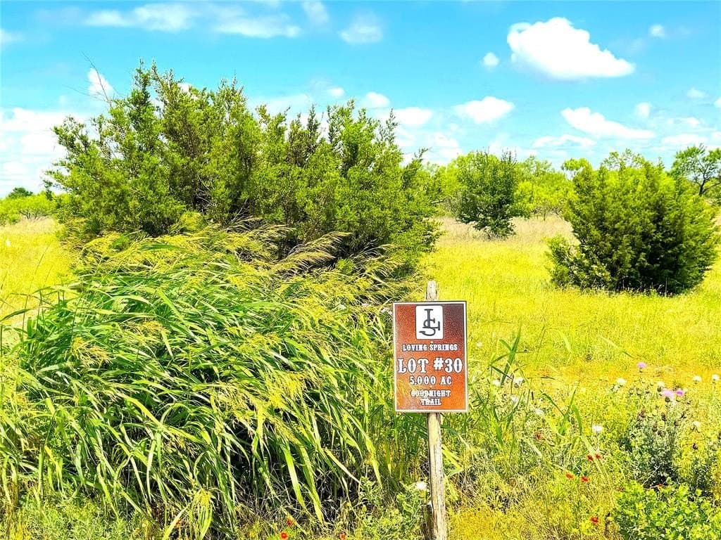 5 acres in Parker County gallery image 2