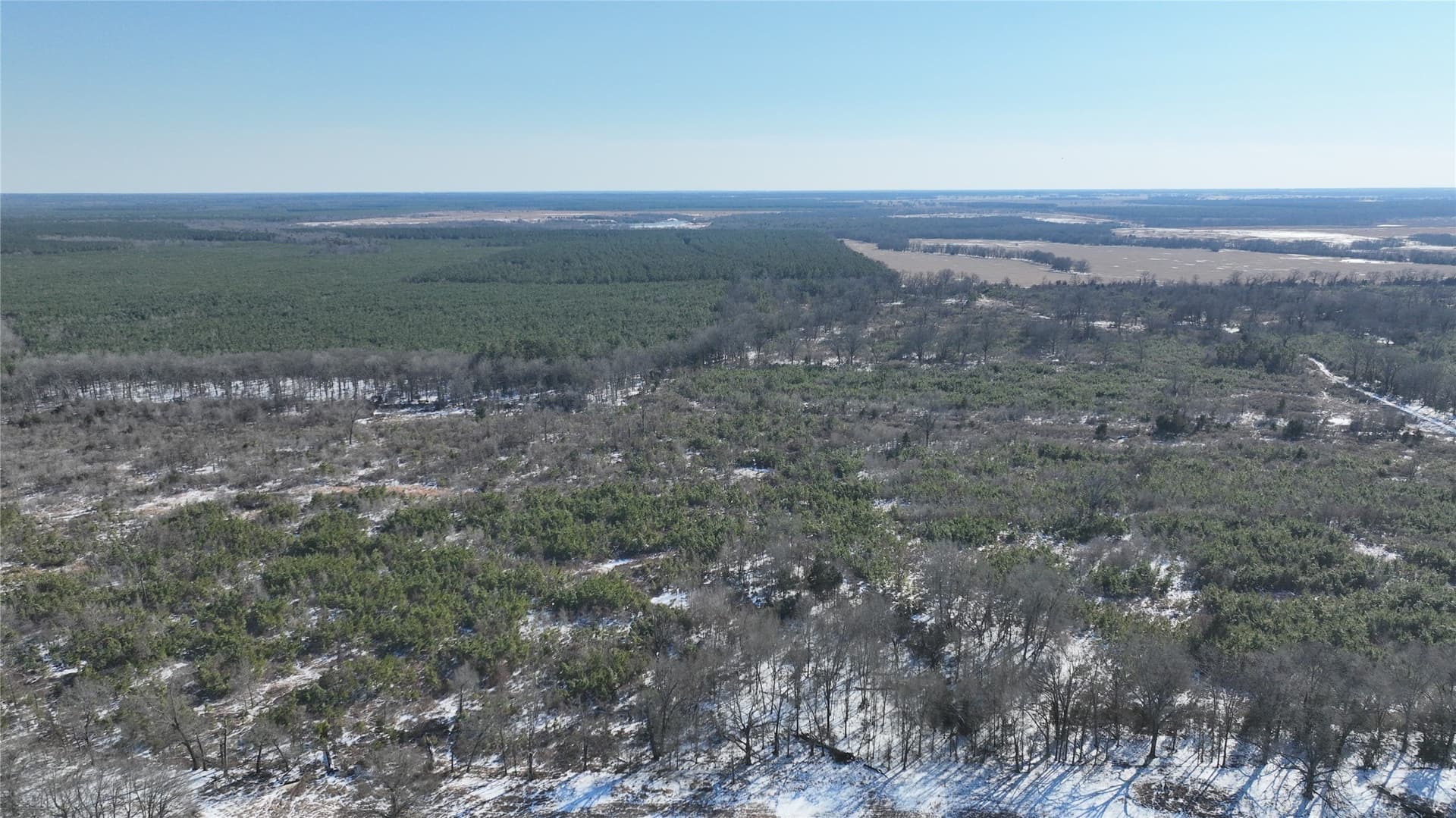 109.39 acres in Red River (TX) County gallery image 3