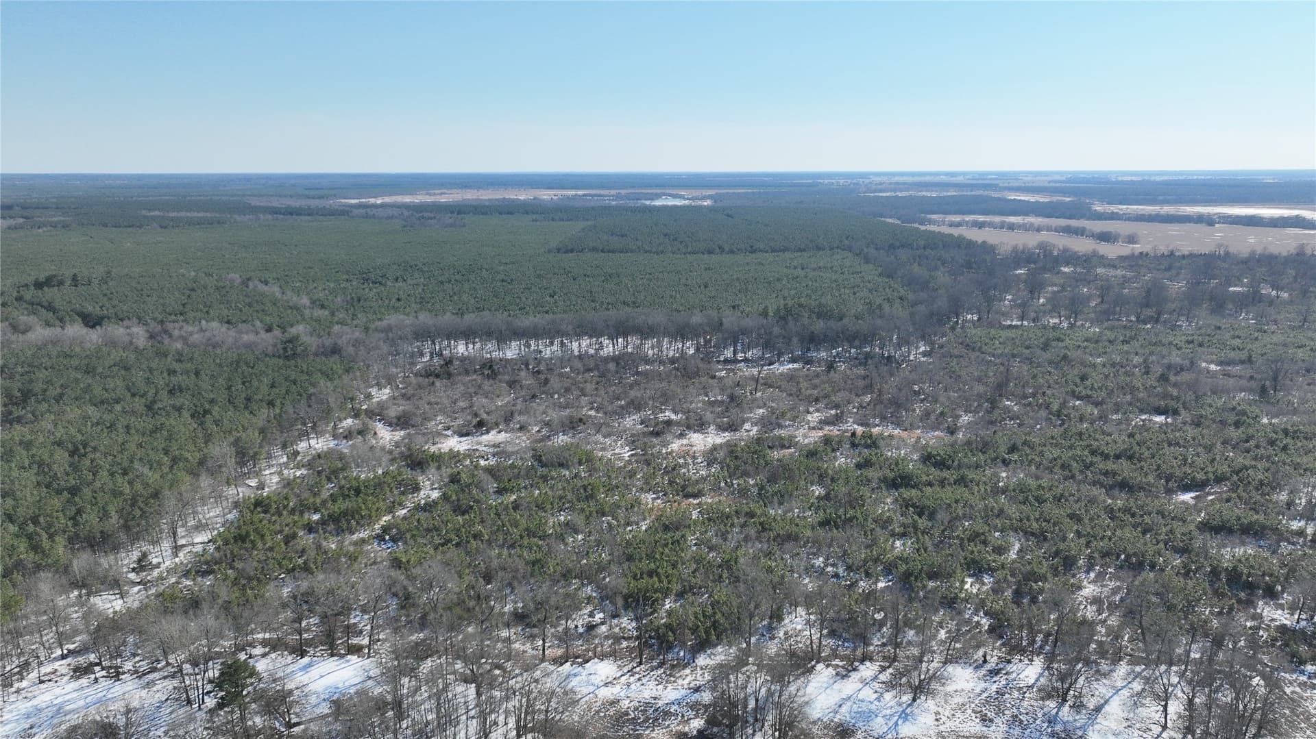 109.39 acres in Red River (TX) County featured view