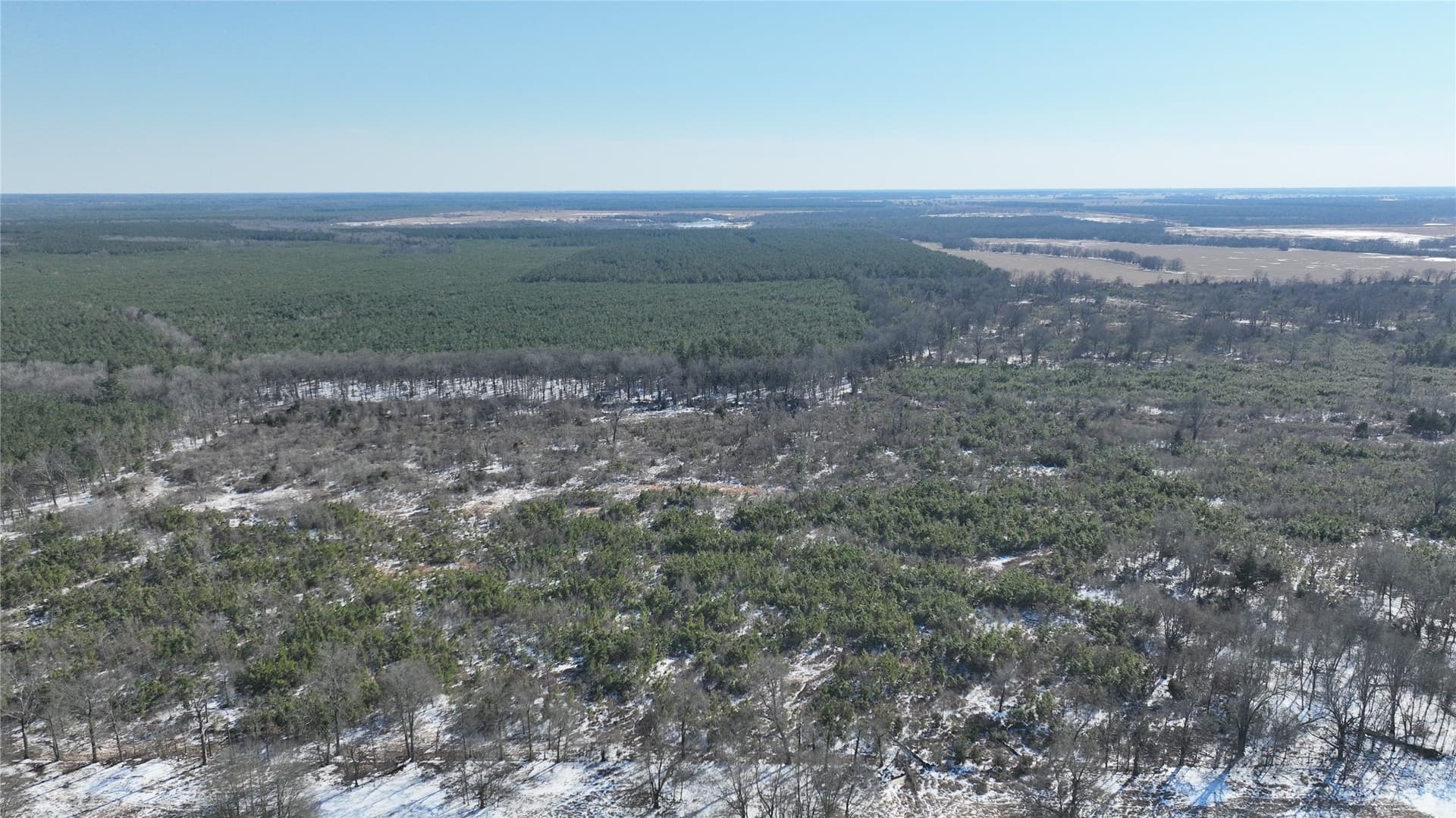 109.39 acres in Red River (TX) County gallery image 4