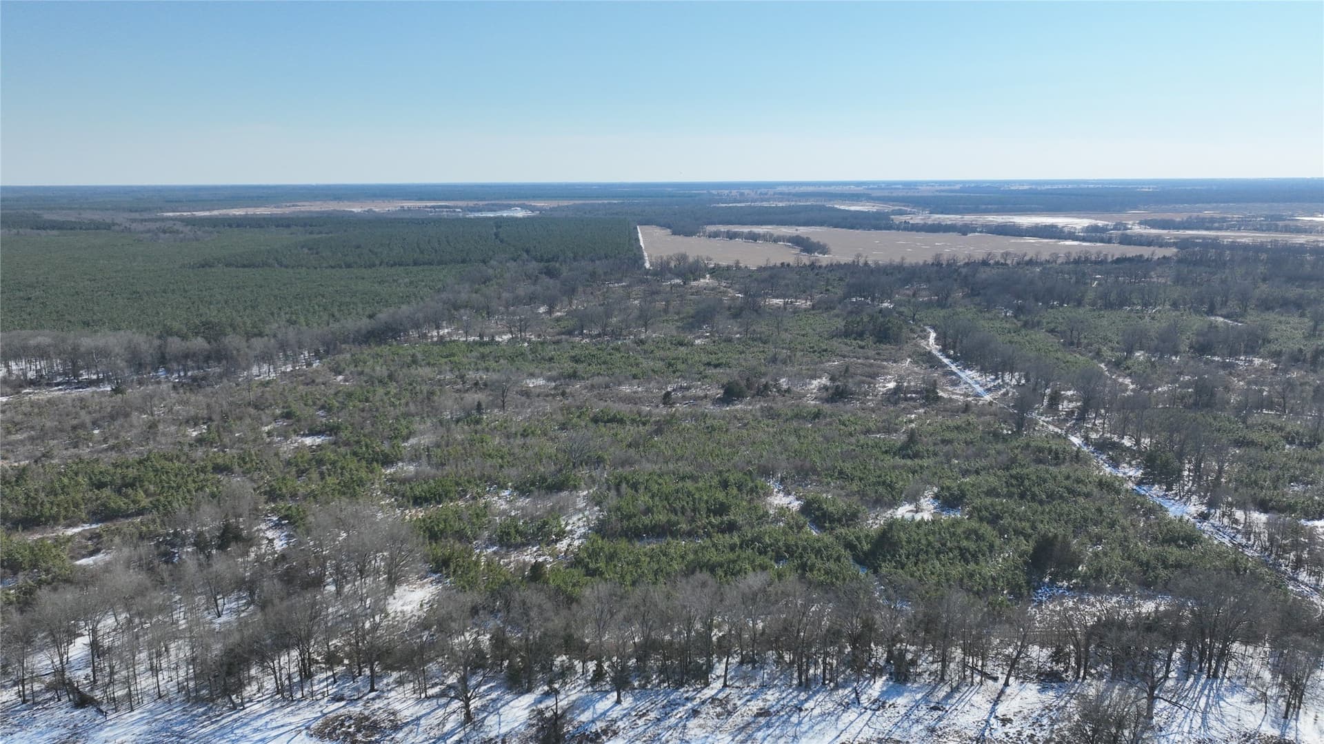 109.39 acres in Red River (TX) County gallery image 2
