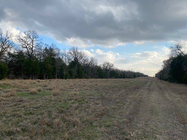 27.43 acres in HENDERSON County - photo 16