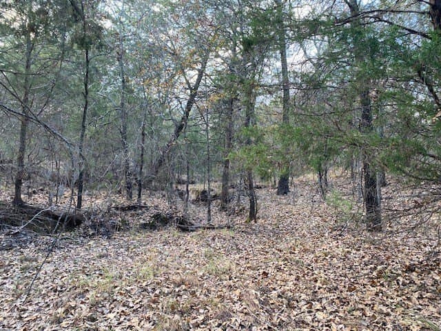 27.43 acres in HENDERSON County - photo 9