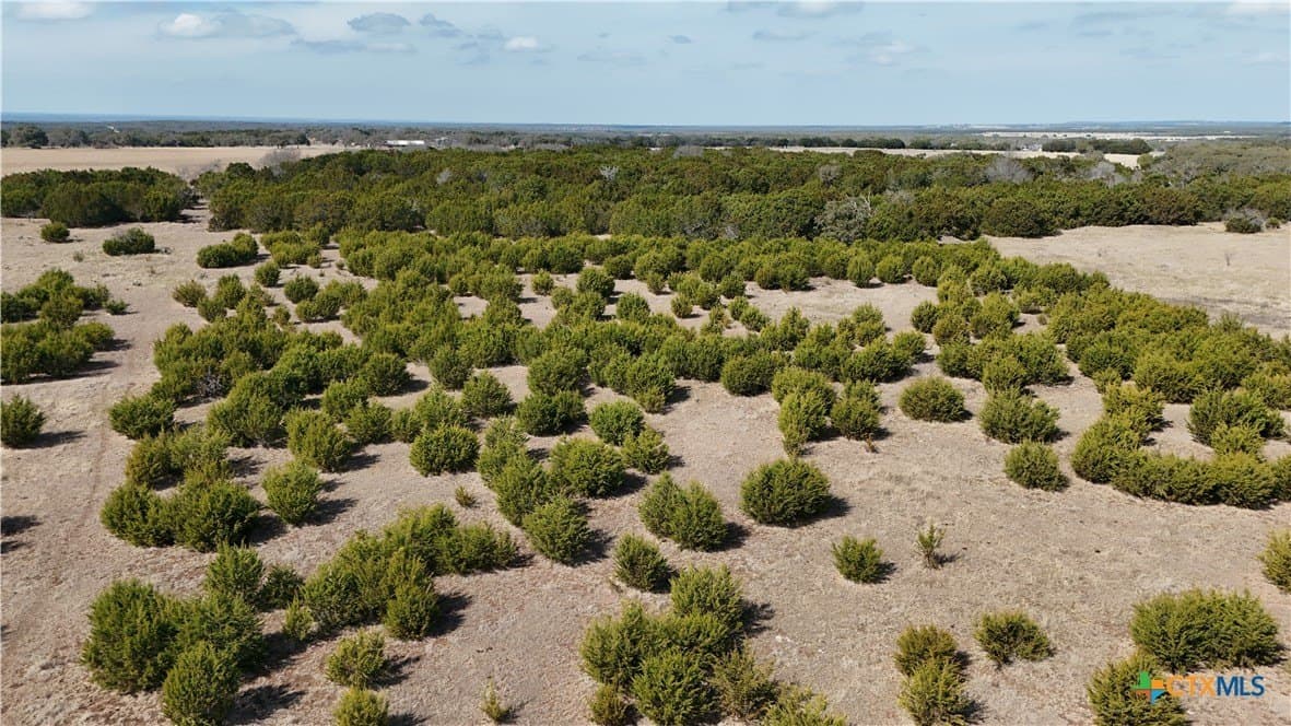 10 acres in Burnet County gallery image 4