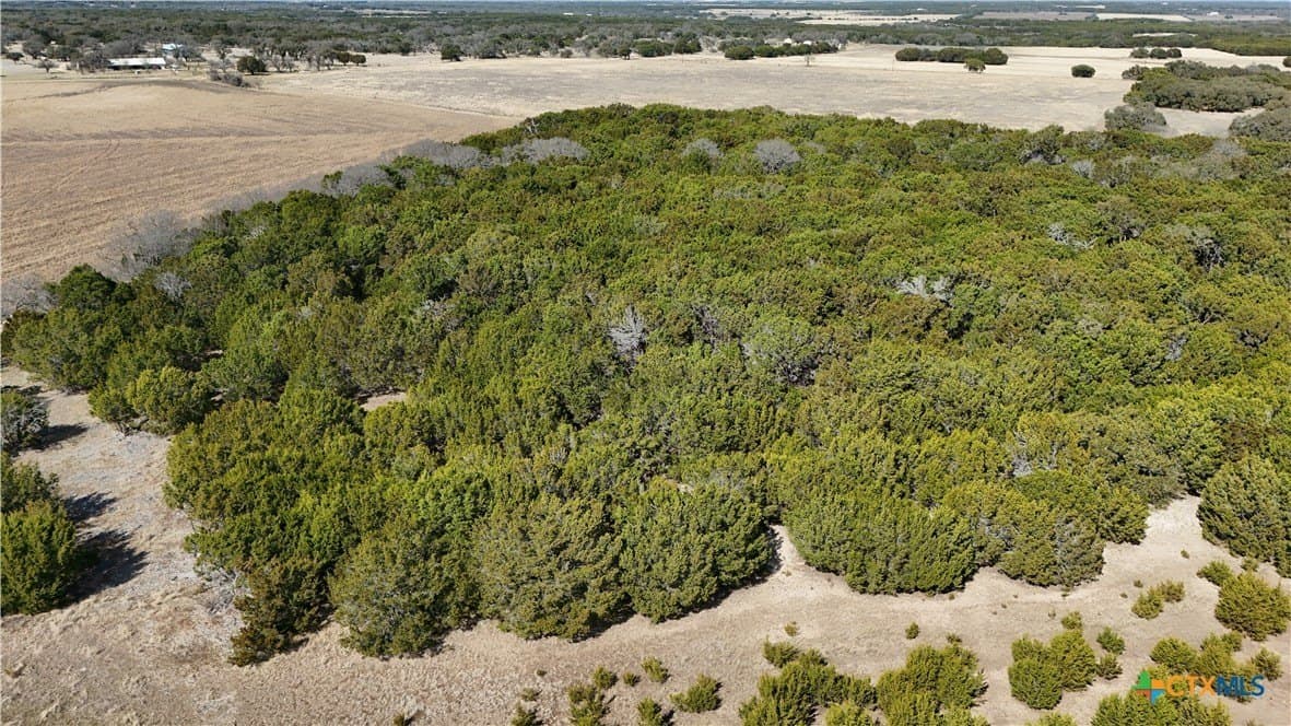 10 acres in Burnet County featured view