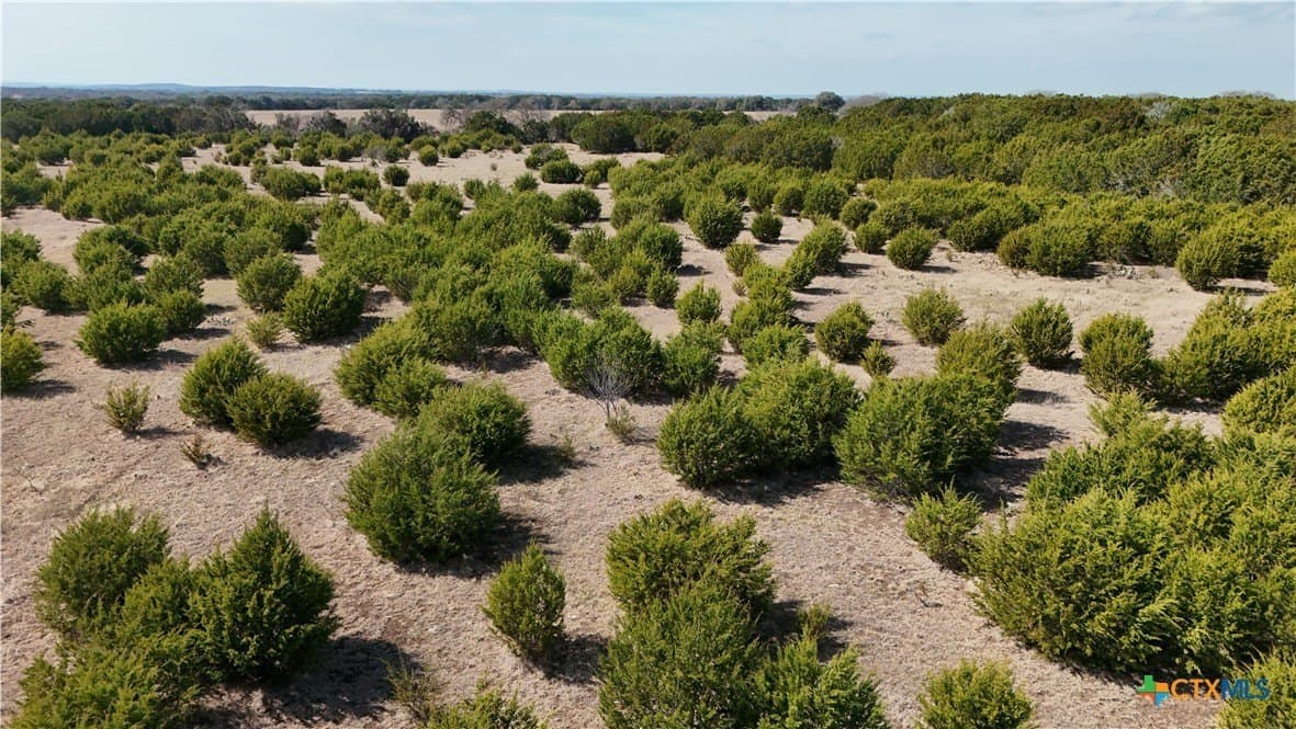 10 acres in Burnet County - photo 8