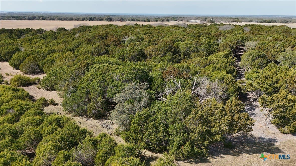 10 acres in Burnet County - photo 6